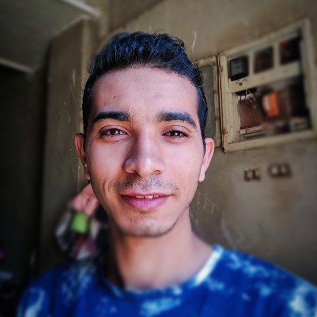 elsyed ahmed
