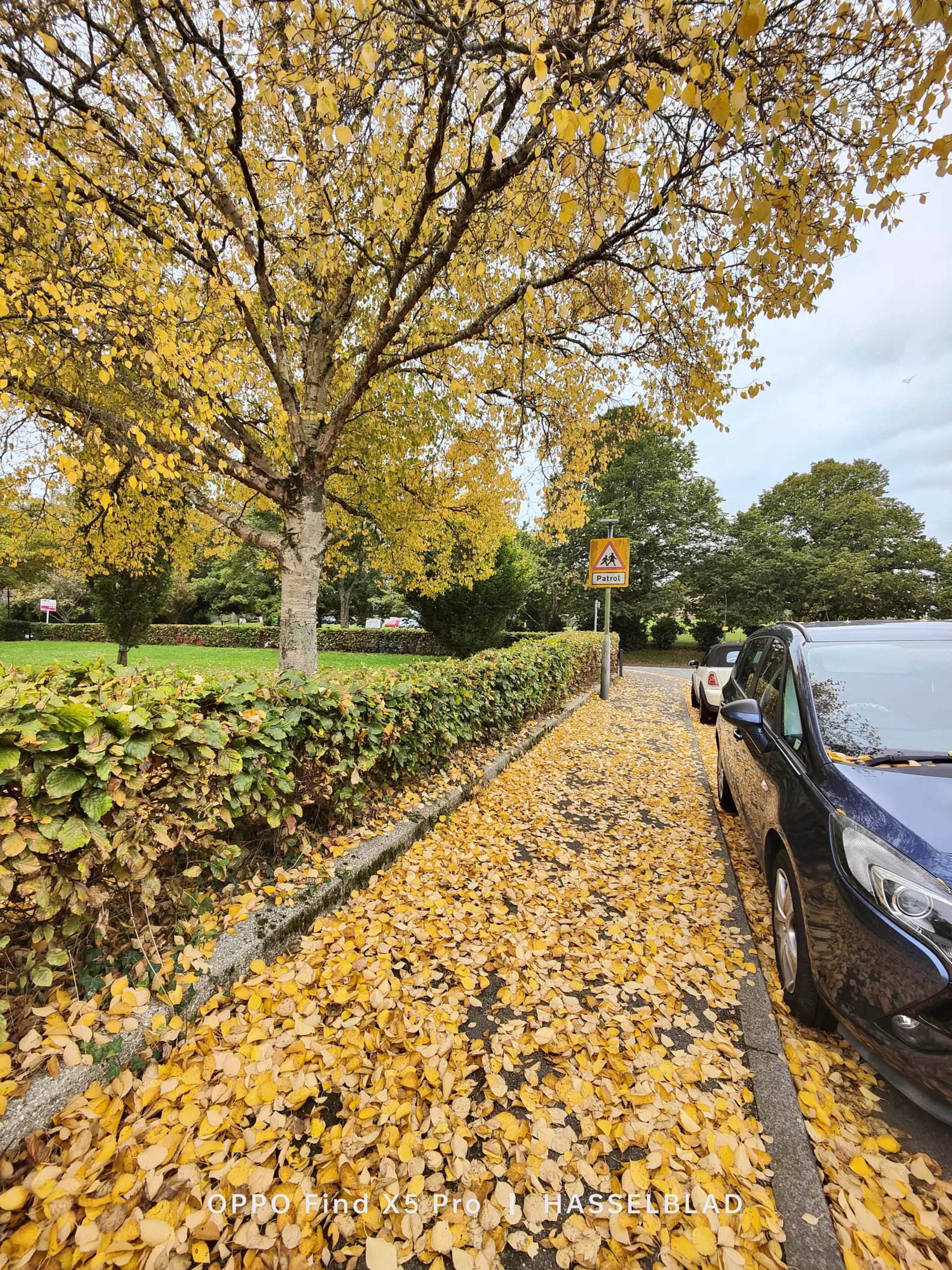 Autumn