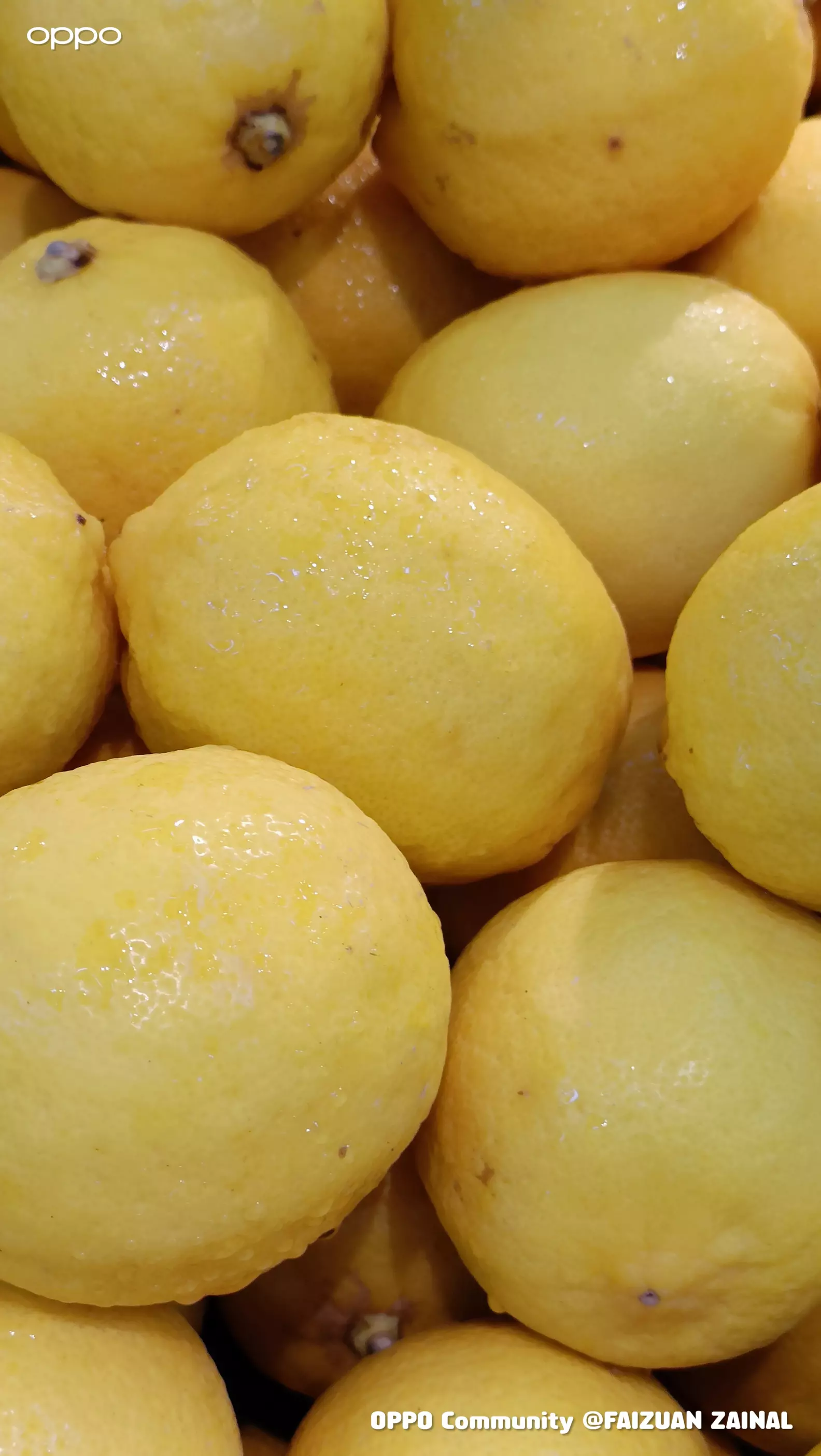 Lemon Deepan Lemon