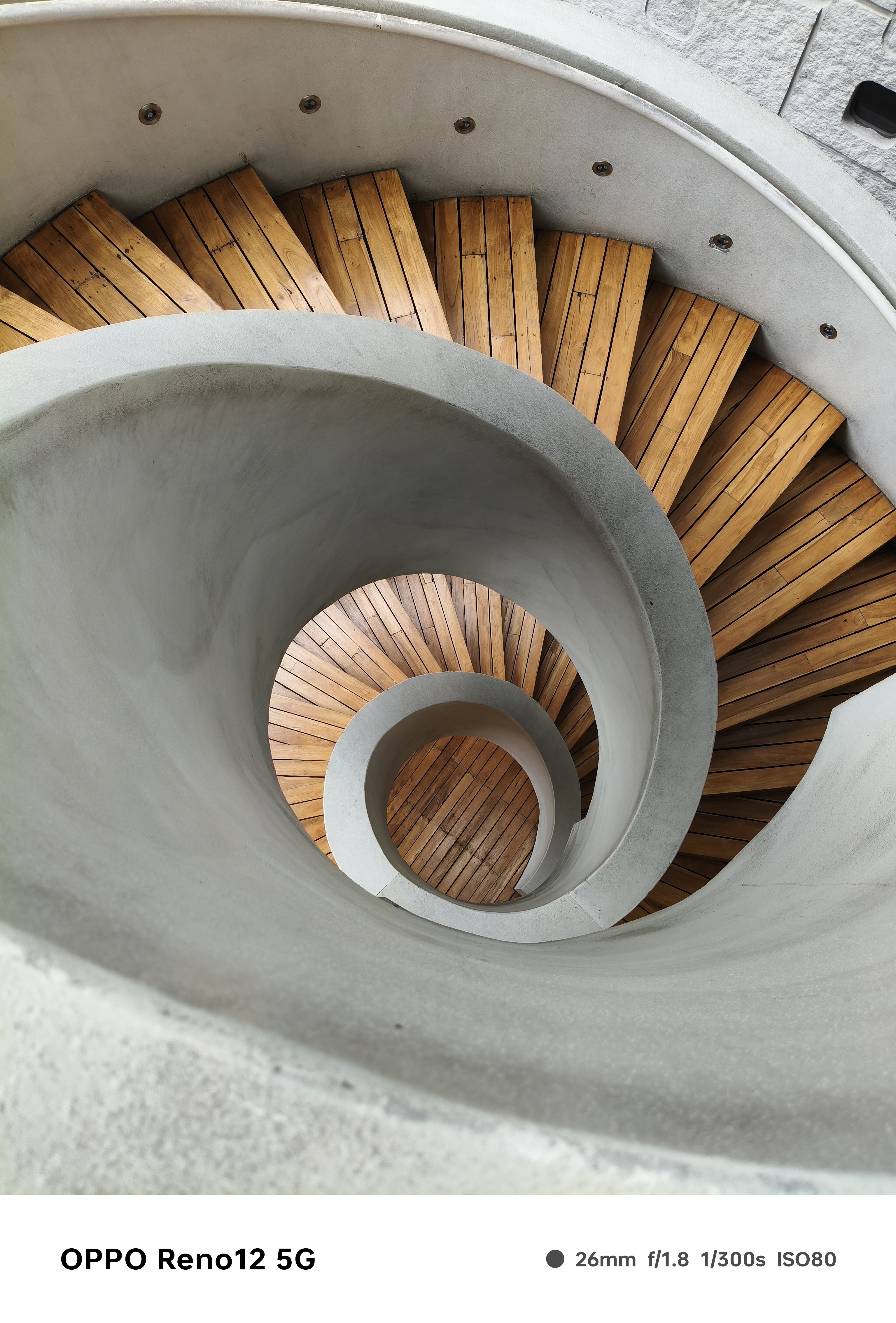 Museum of the day the ronac art center