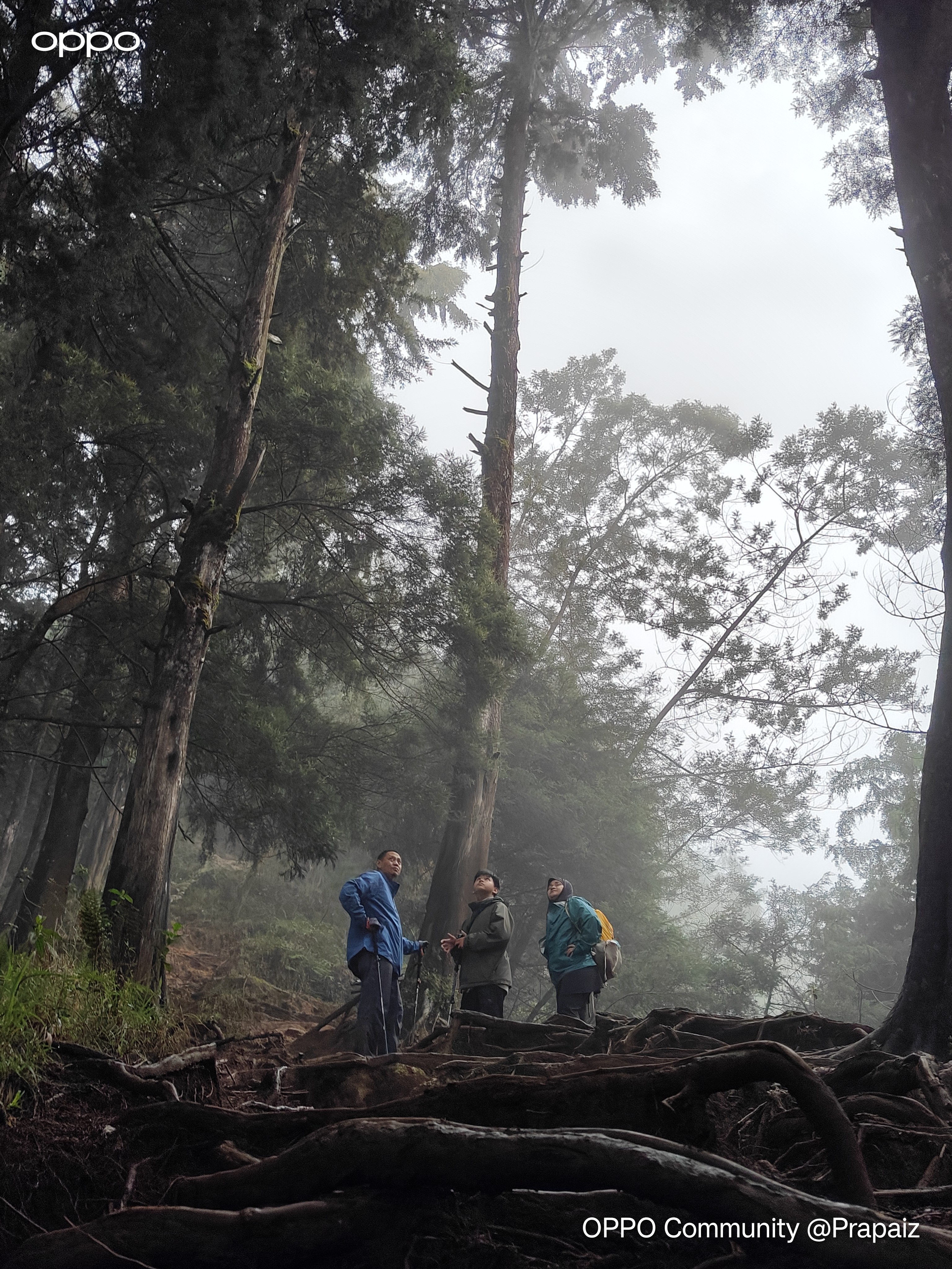 Praou Had a short trip holiday activities to Prau Mountain and tak