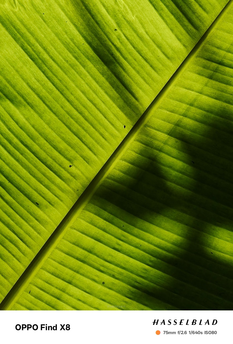 [Closed][January] Capture Patterns and Win an OPPO Reno10