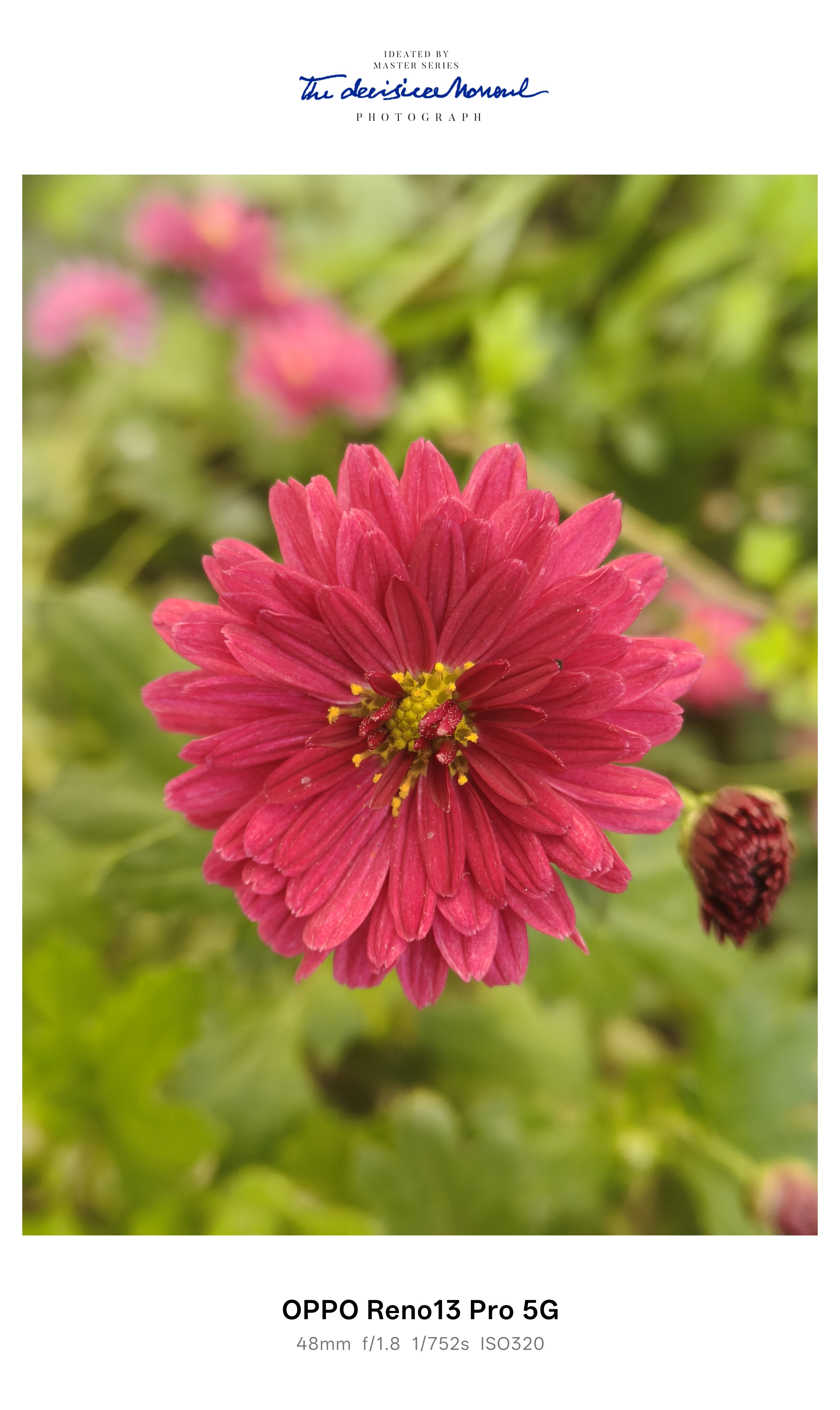 Flower's Pattern...OPPO Pattern is very Good challenge conte