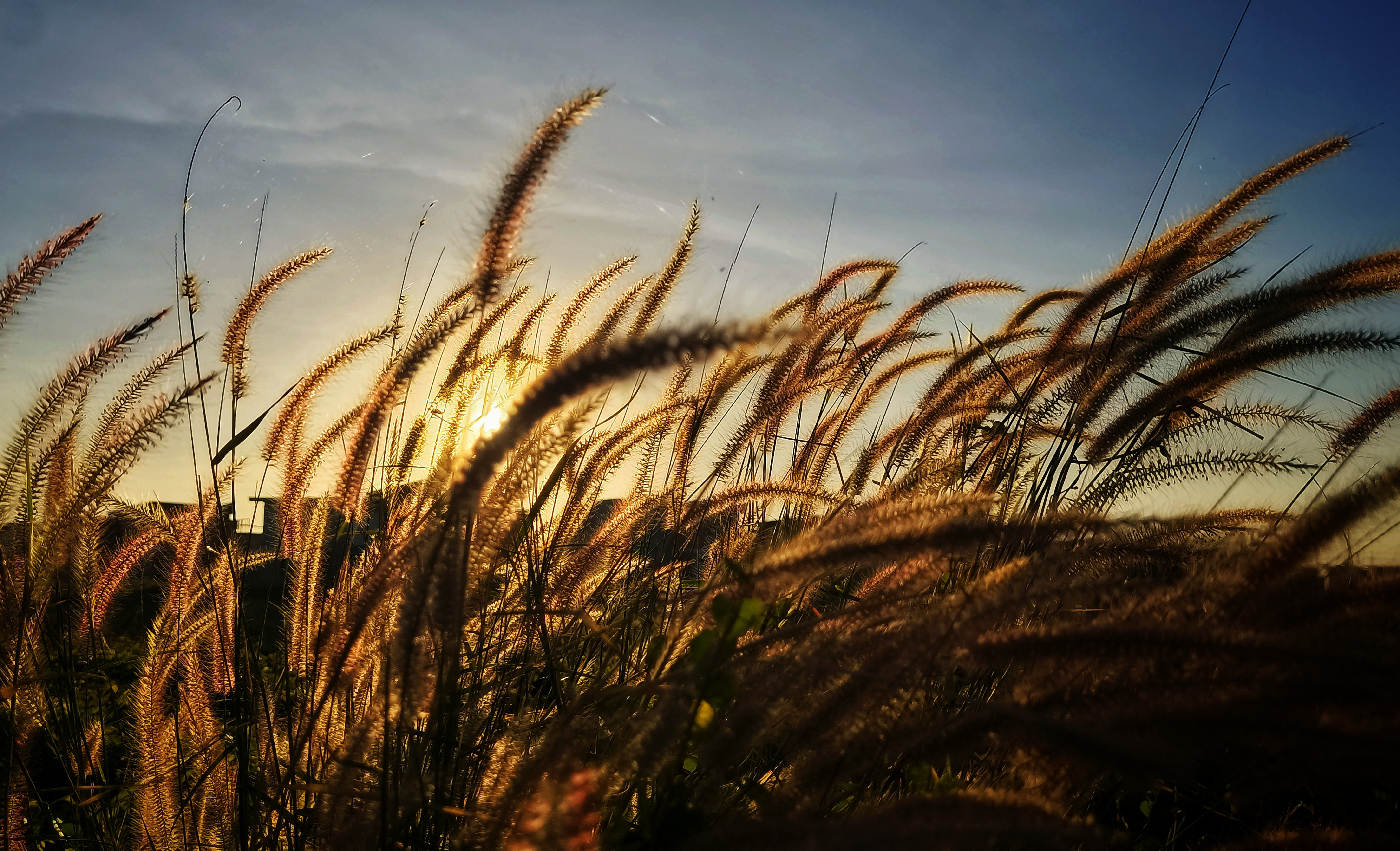 The warmth of the morning sun. What are you looking forward
