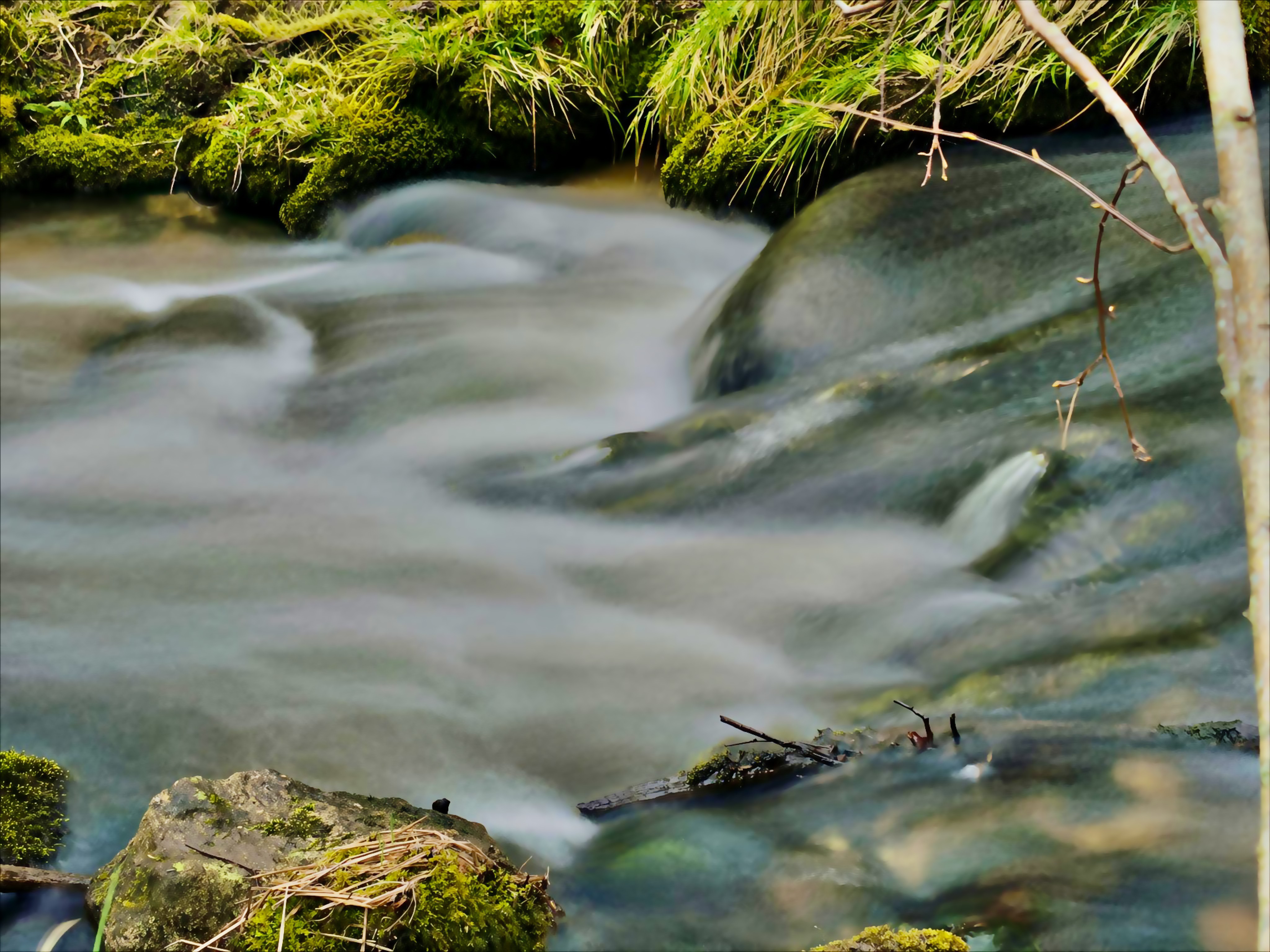 Nature