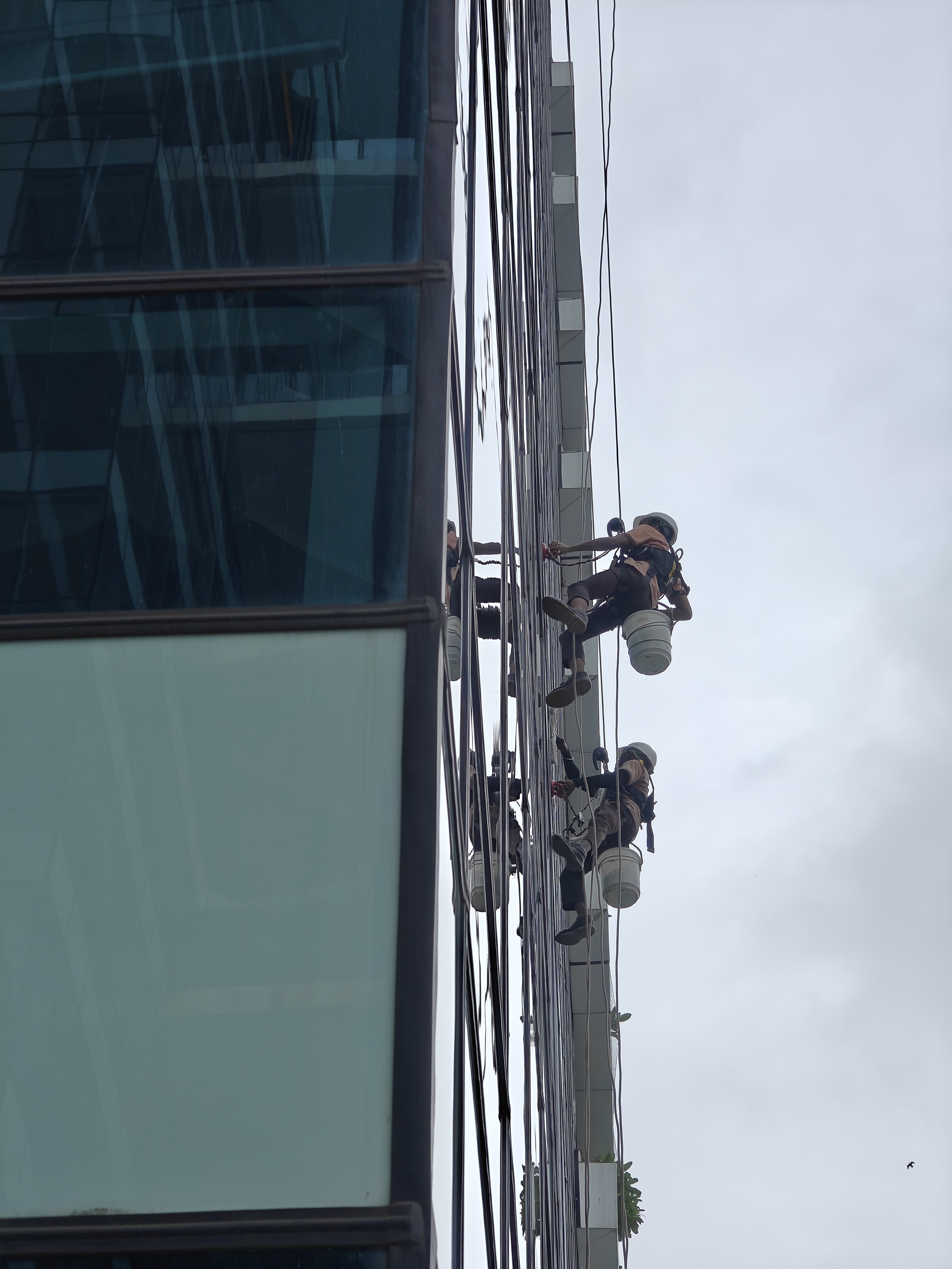 Watching these fearless workers suspended high above the gro