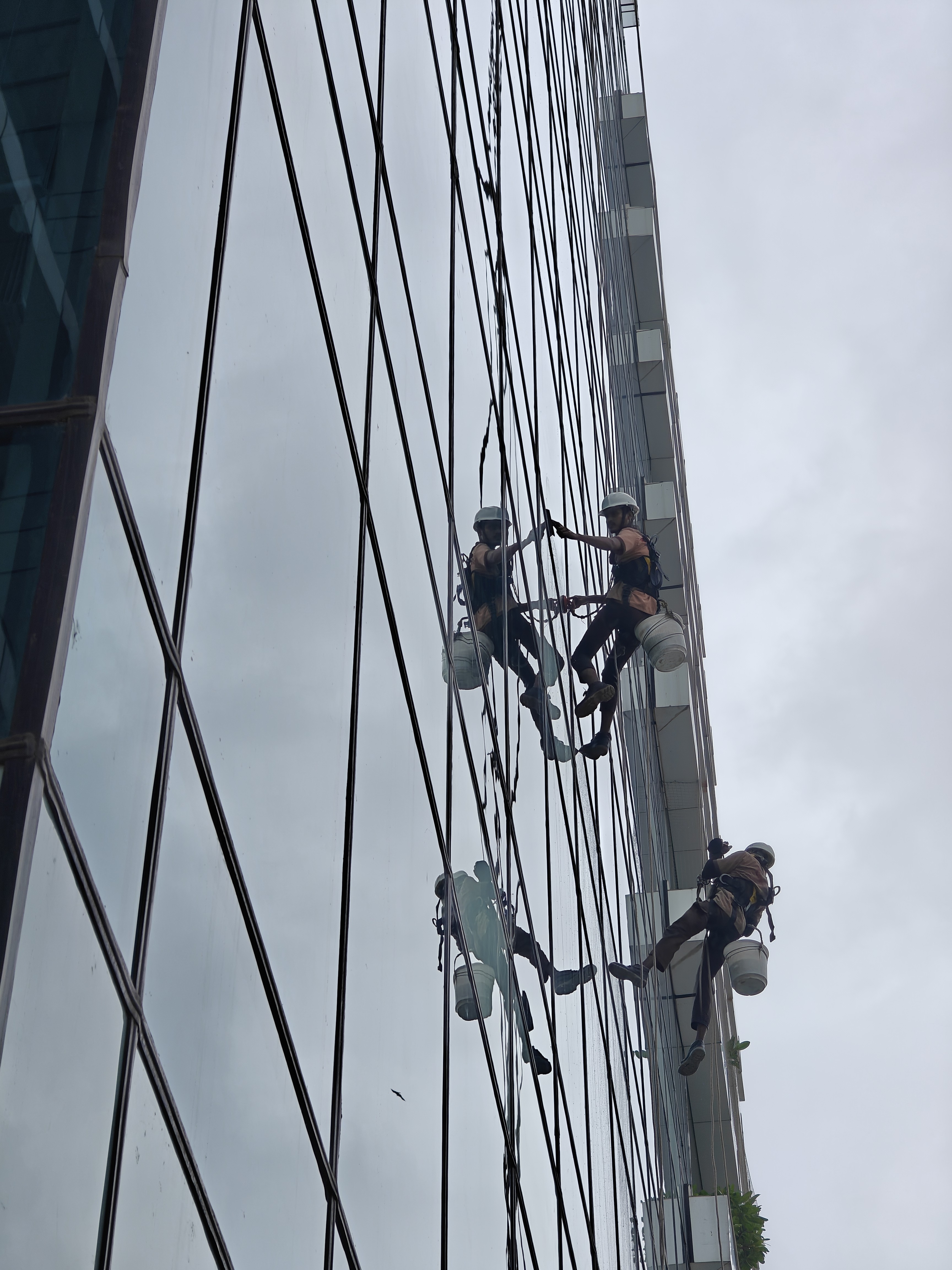 Watching these fearless workers suspended high above the gro