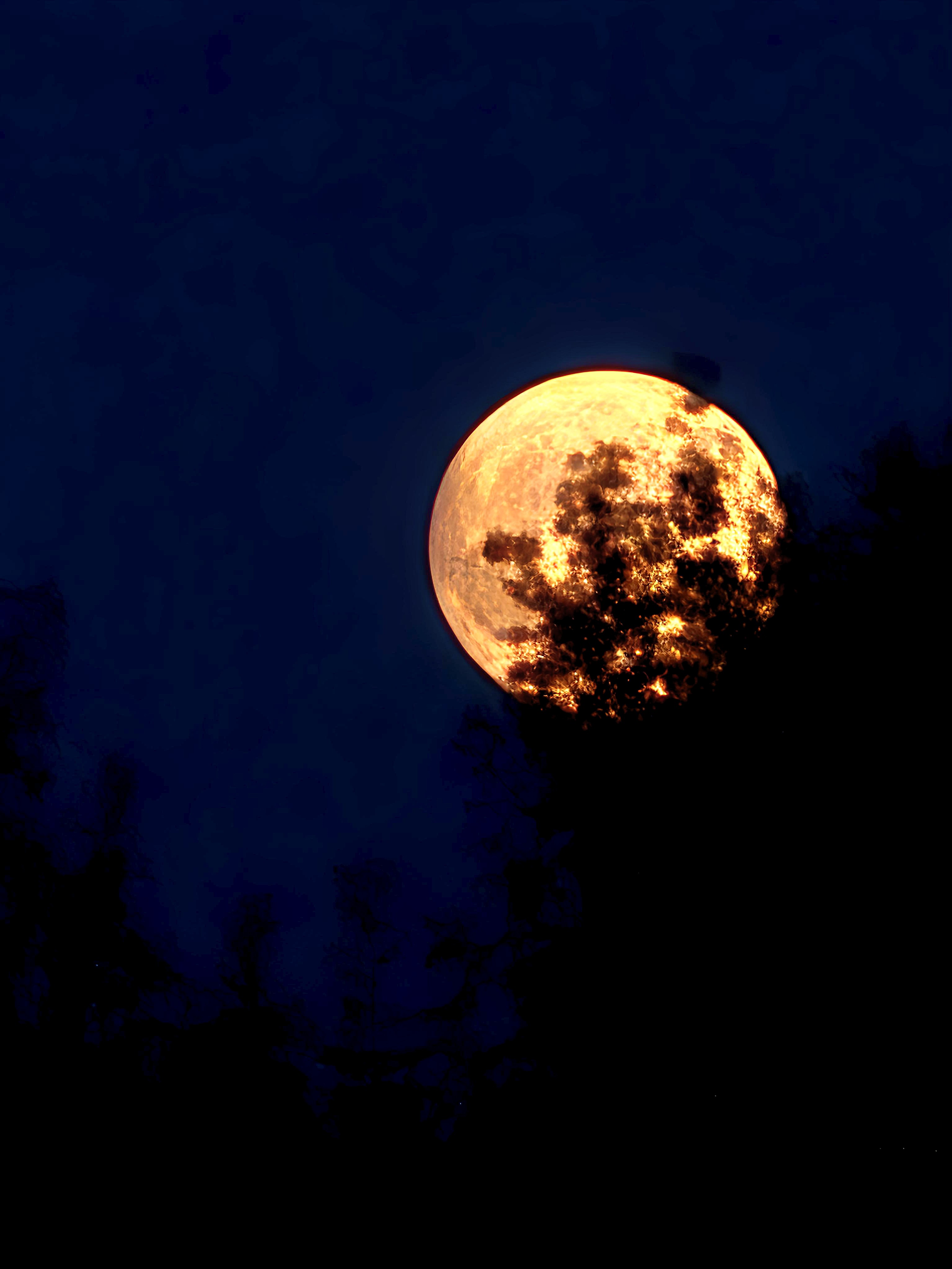 tonight-s-moon