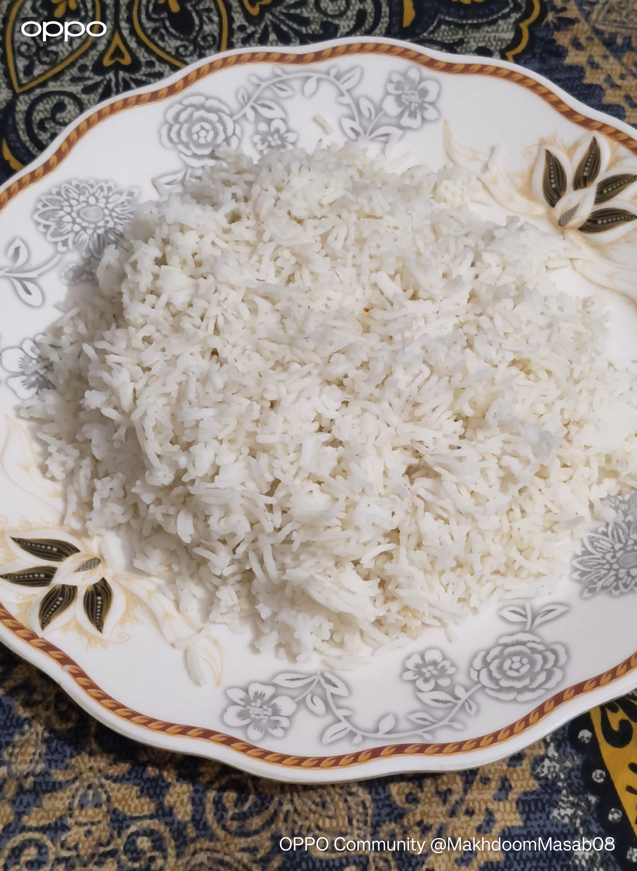 Singam Rice Food series: Singaporean Rice