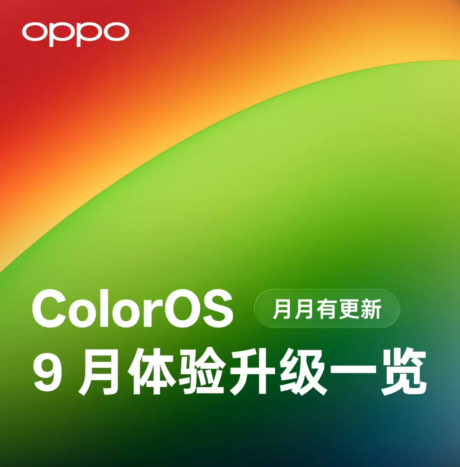[China Only] September ColorOS Update