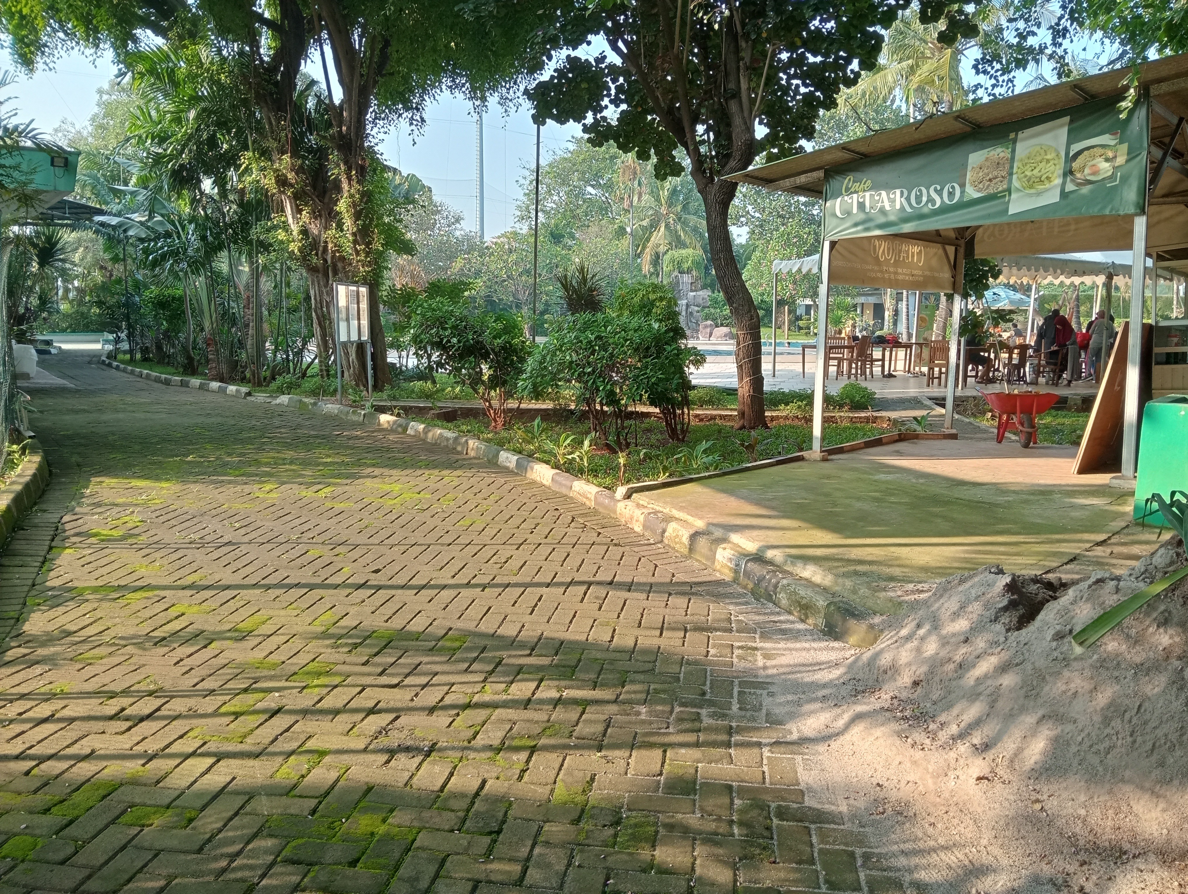 Senut Rang Rang Semut rangrang.