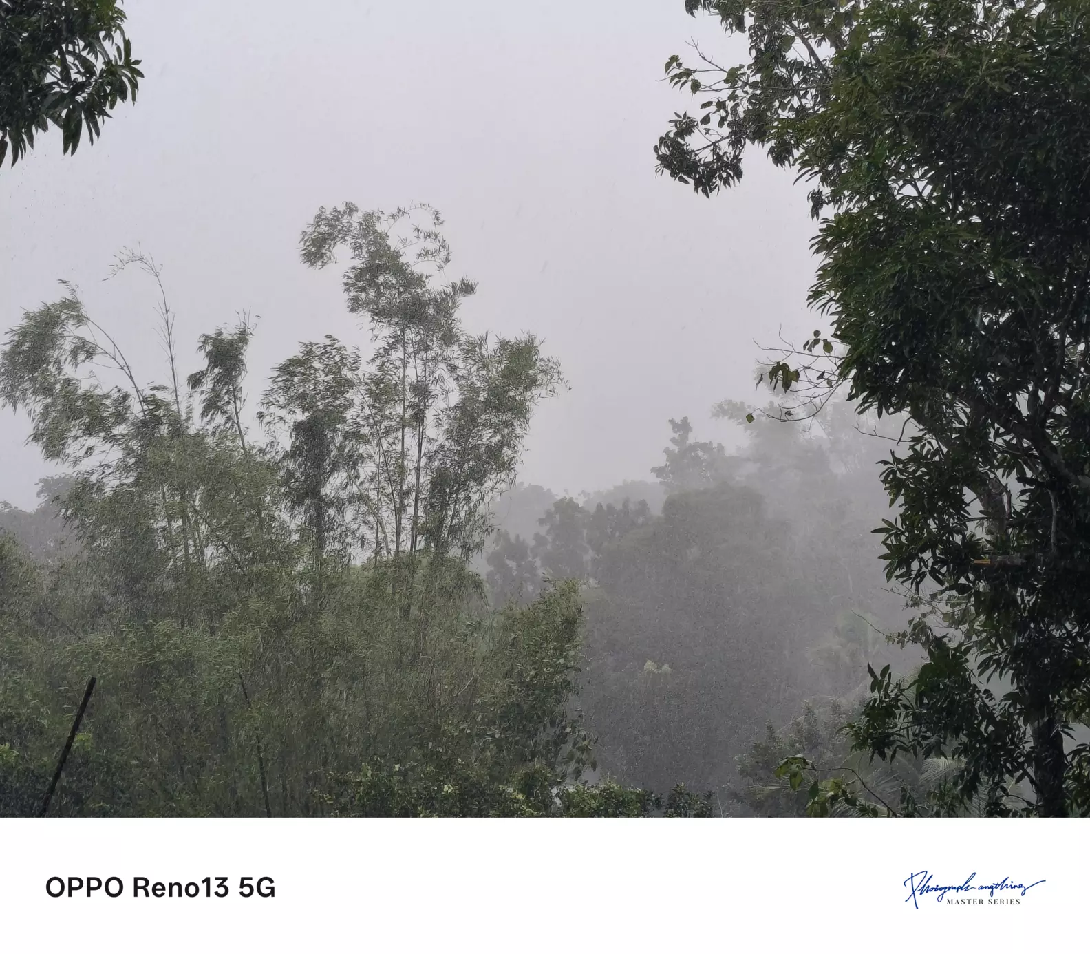 It Rained Hard It’s raining super hard, and the trees are getting completel
