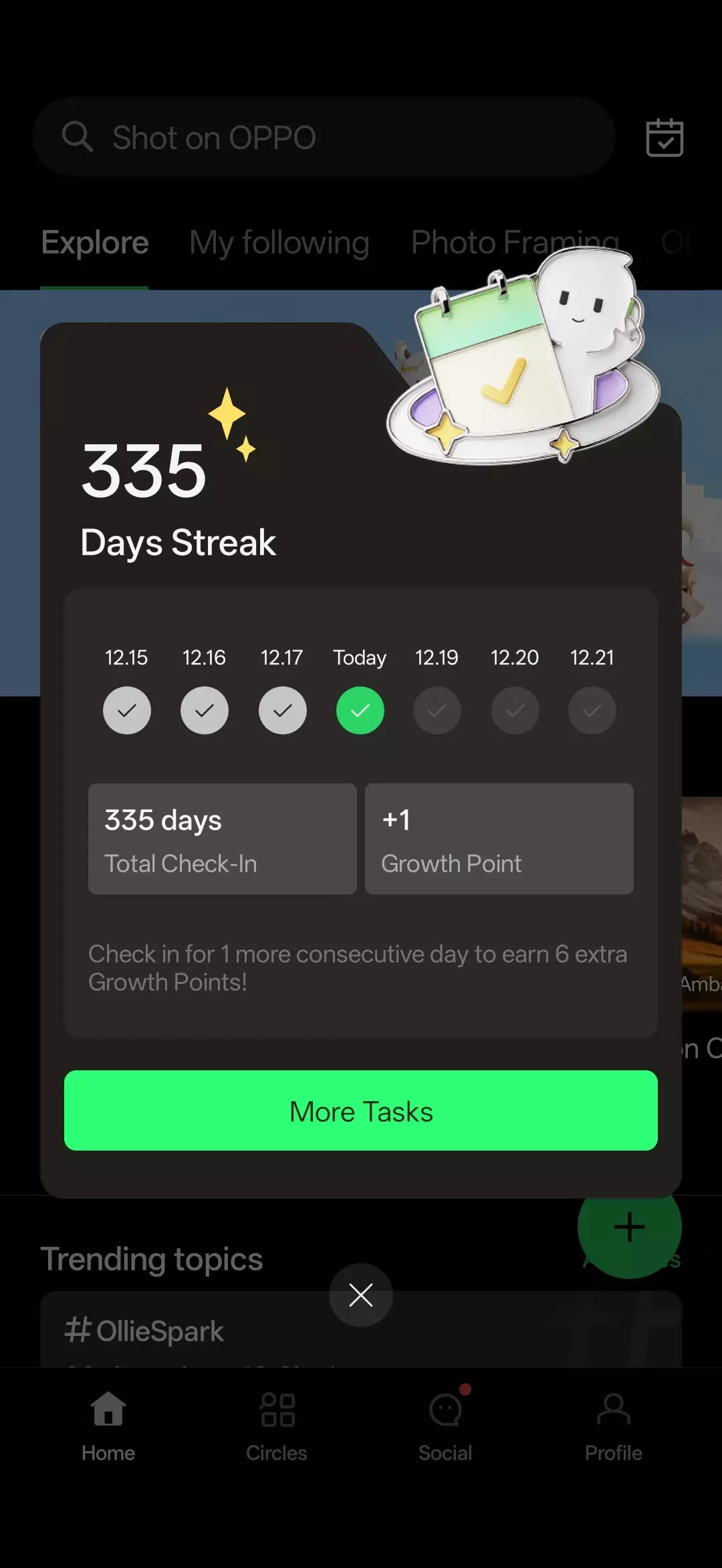 My One Year Journey