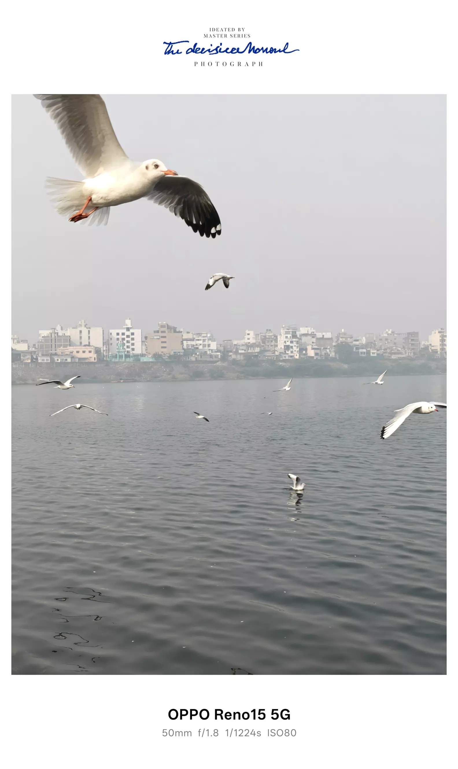When the World Comes Home: Winter Stories of Tapi River