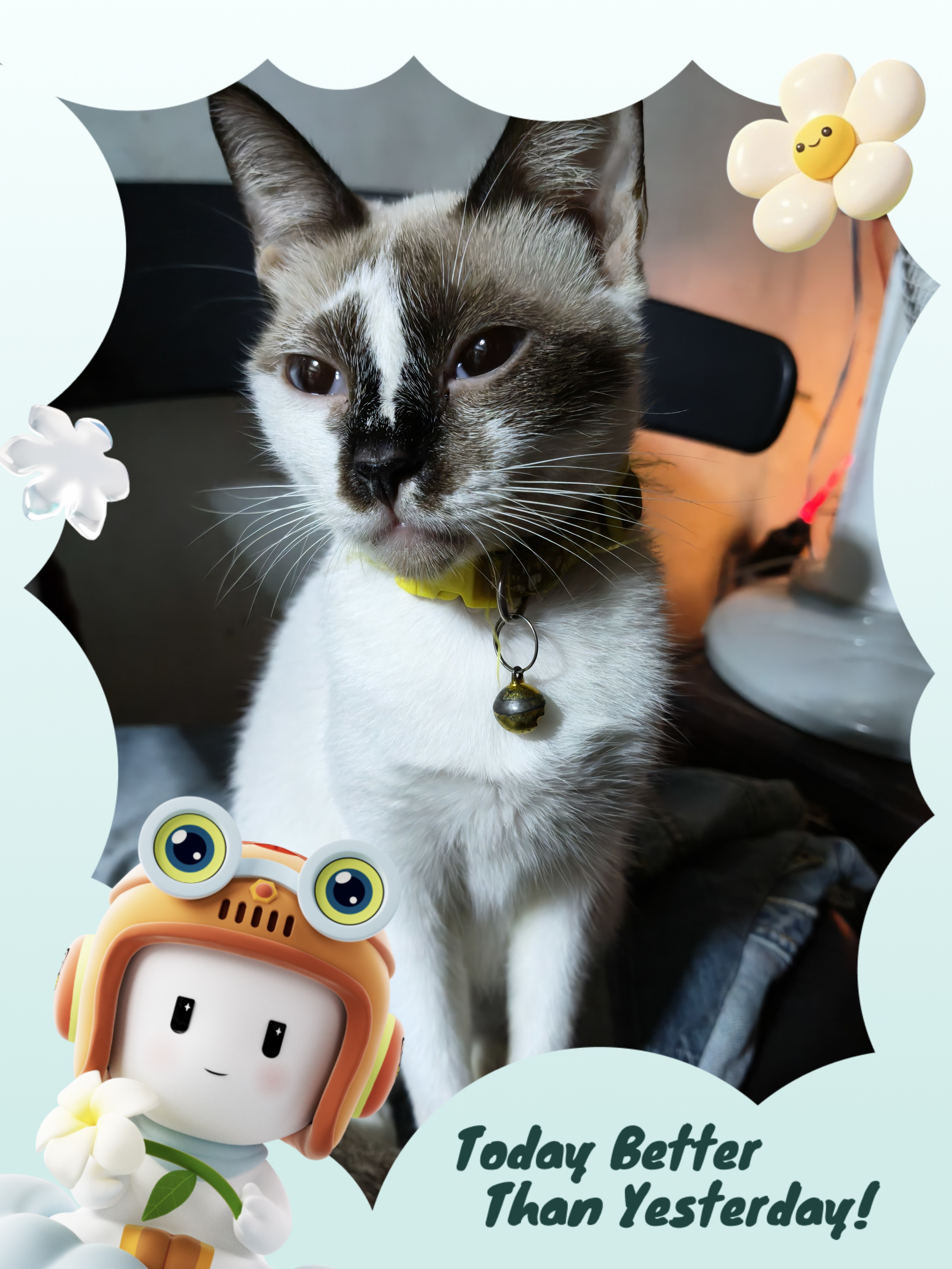 Frame checkCat check Shots check If you are busy they will a