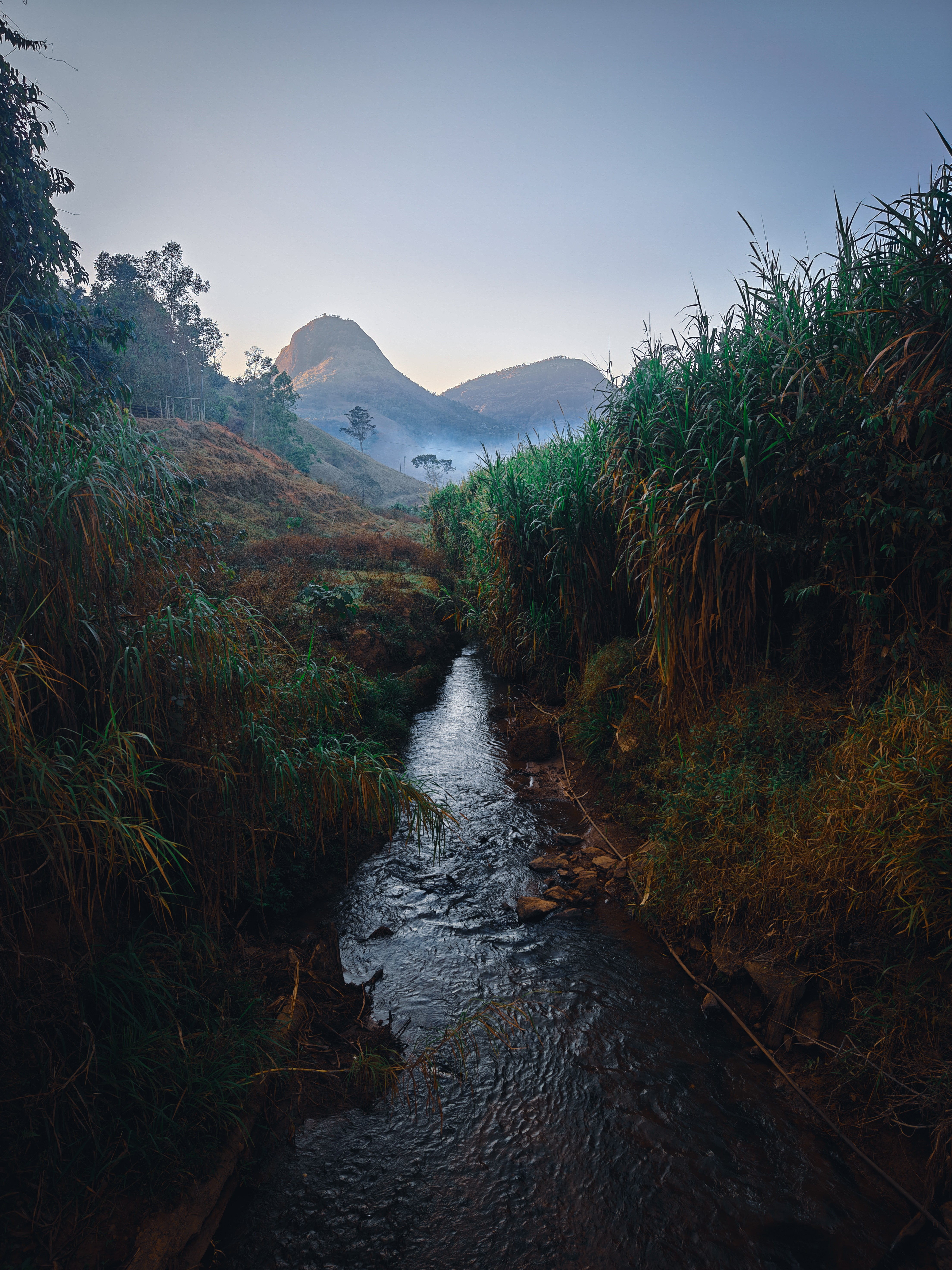 Mobile photography: is it real photography?