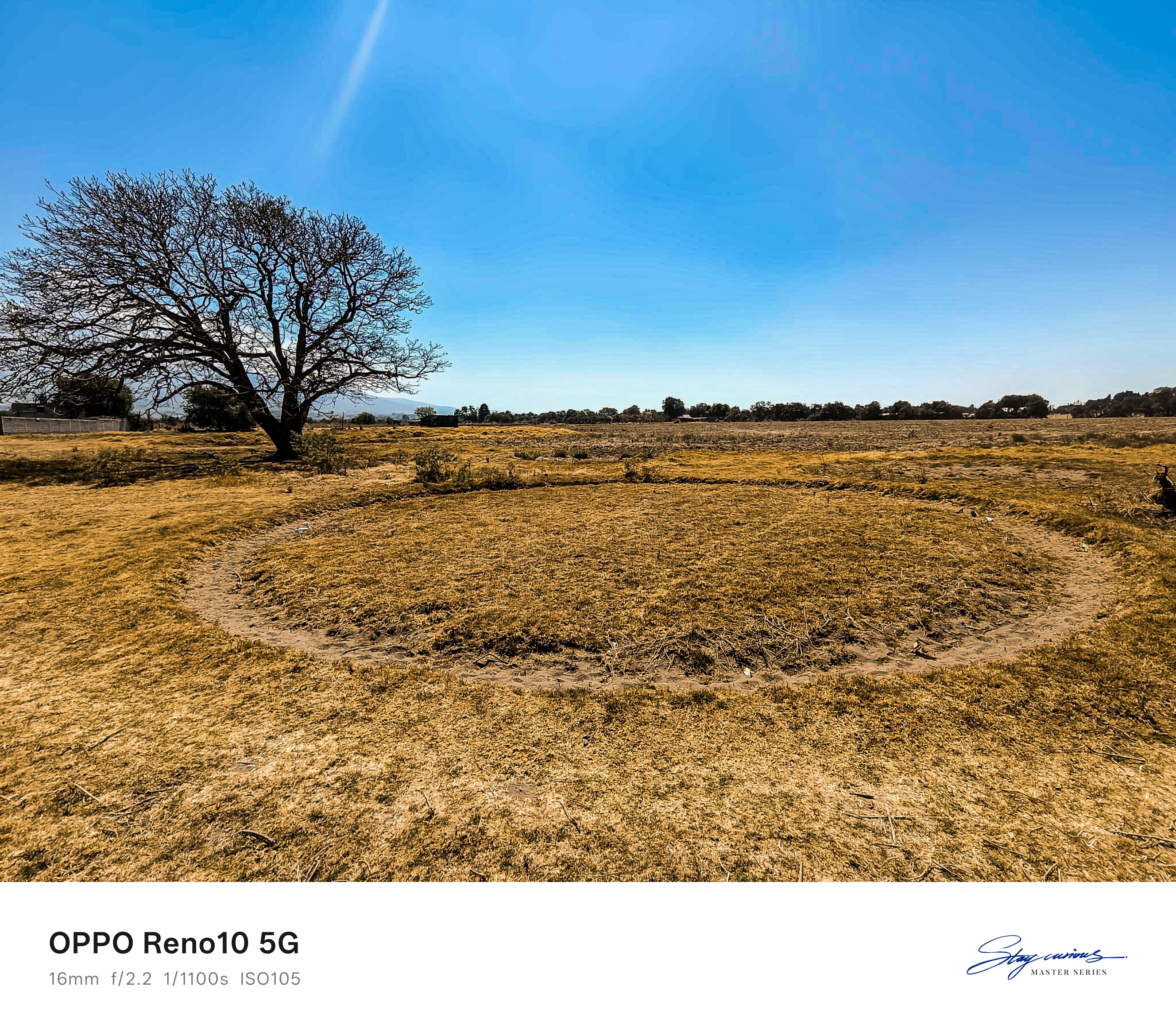 Fairy rings