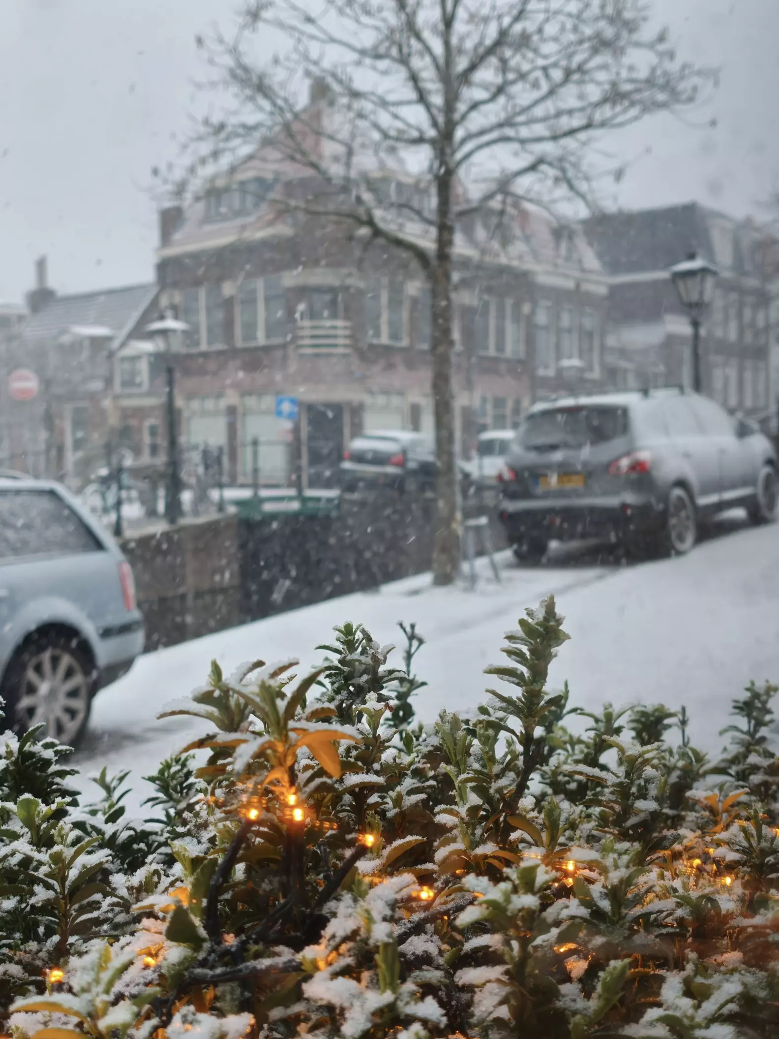 Live from the Netherlands, Snow storm 🌨️ ️🌨️What you see i