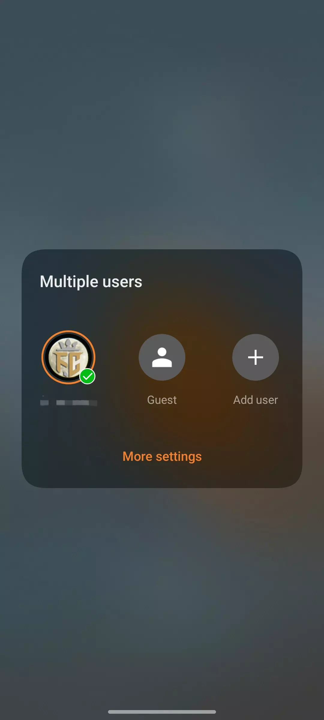 Default Multi Usage Does anyone use multiple users??