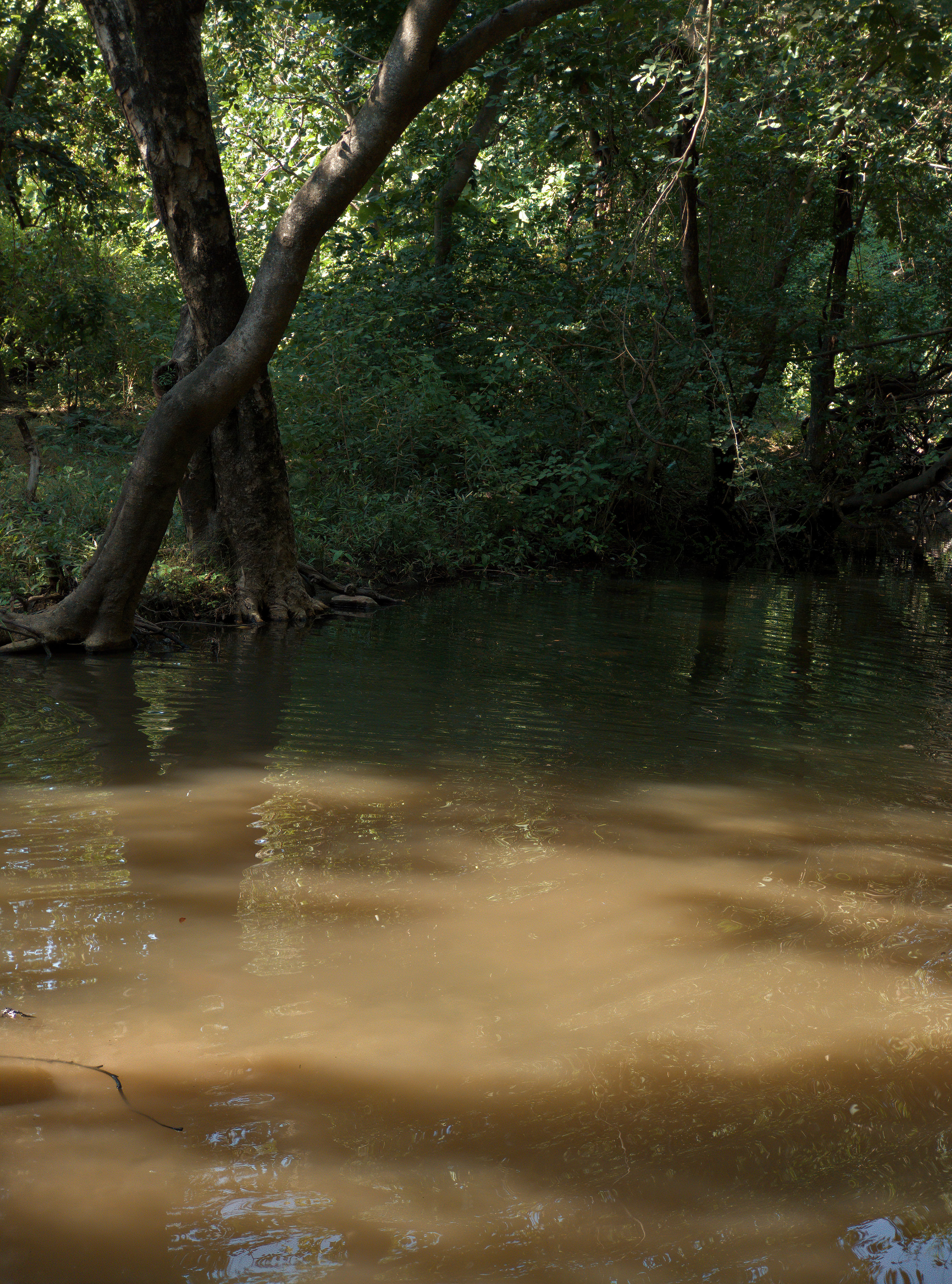 Shadow In Water Photography, A Game Of Light & Shadow