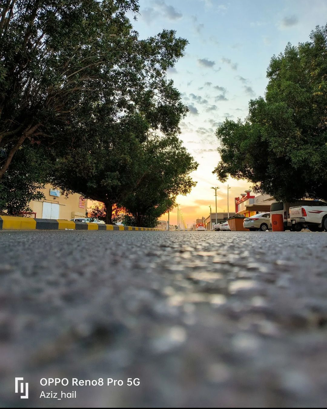 Top 5 Best Performances of Lance Klusener - thesportslegends.com