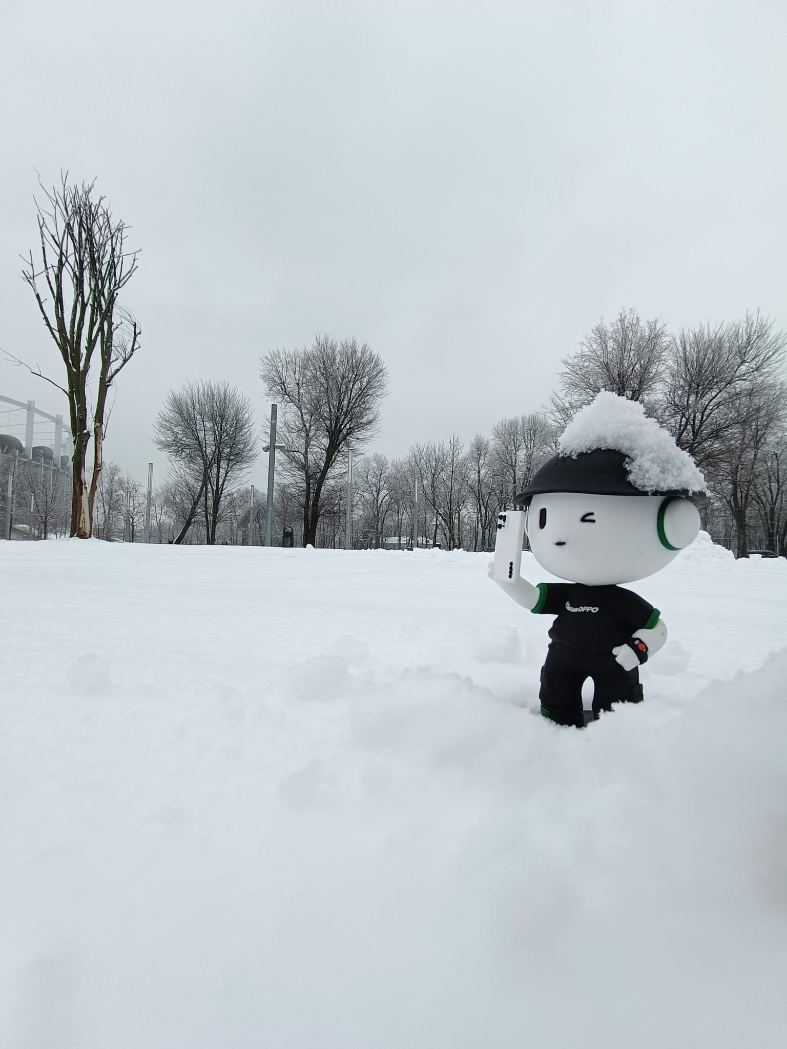 Ohlins Snow Ollies first snow