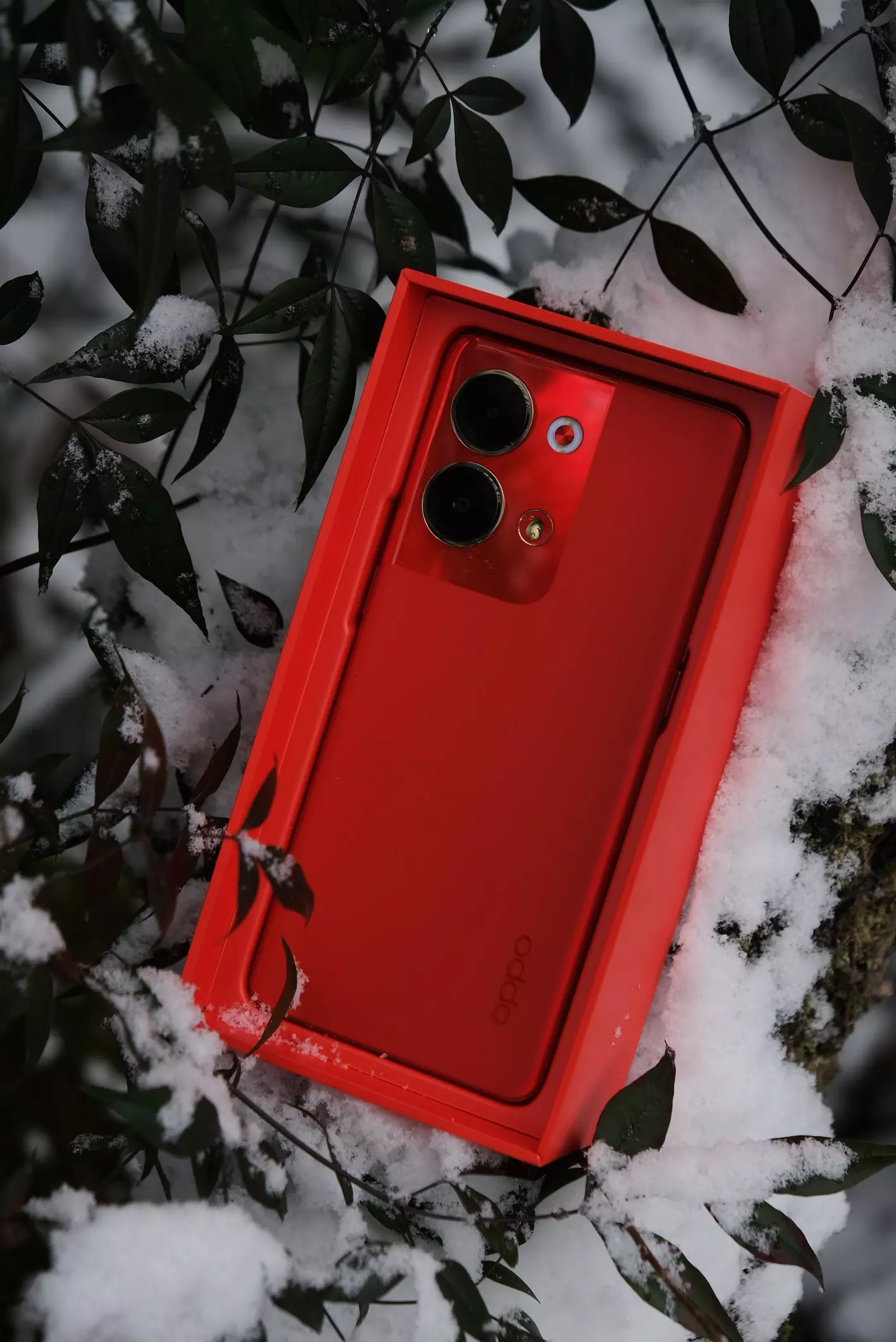 Pro Red Color OPPO Reno9 Pro | Red Color