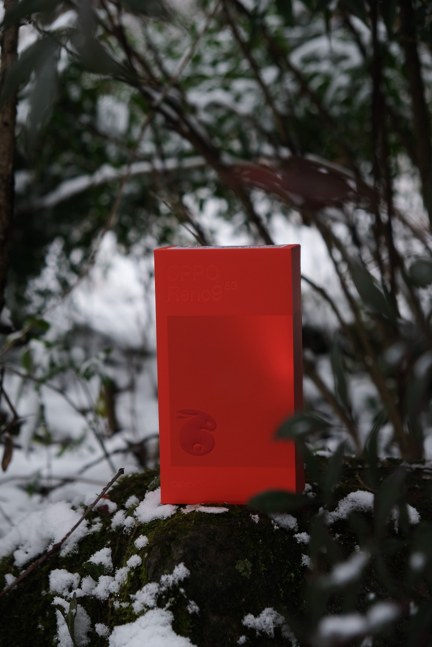 Pro Red Color OPPO Reno9 Pro | Red Color