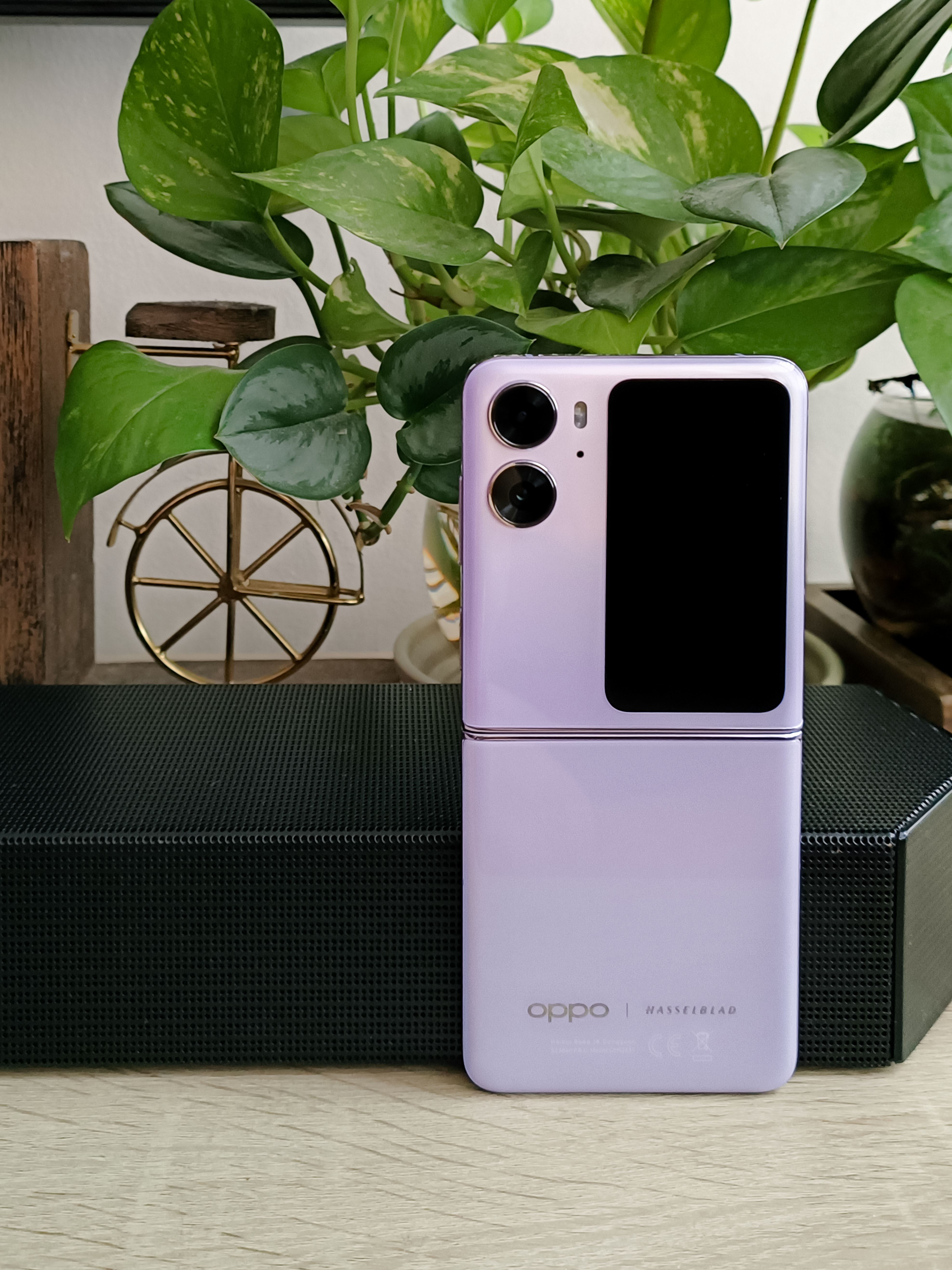 [Full Review] Find N2 Flip: What It Means To Own and Use It