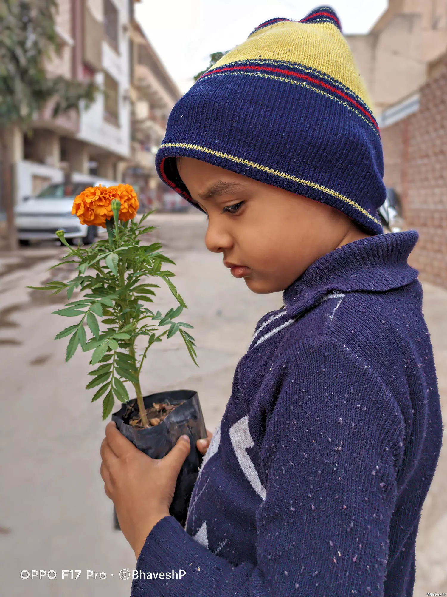 Curated visual reference: Visual Reference: Small Plants Big Impact Celebrating Earth Day 23
