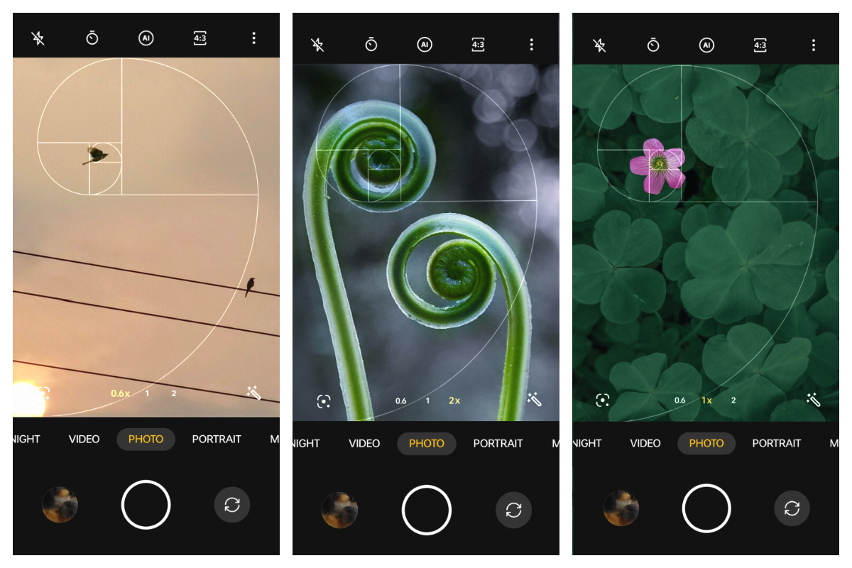 Fibonacci Spiral Photography Composition Fibonacci Spiral Photography Composition