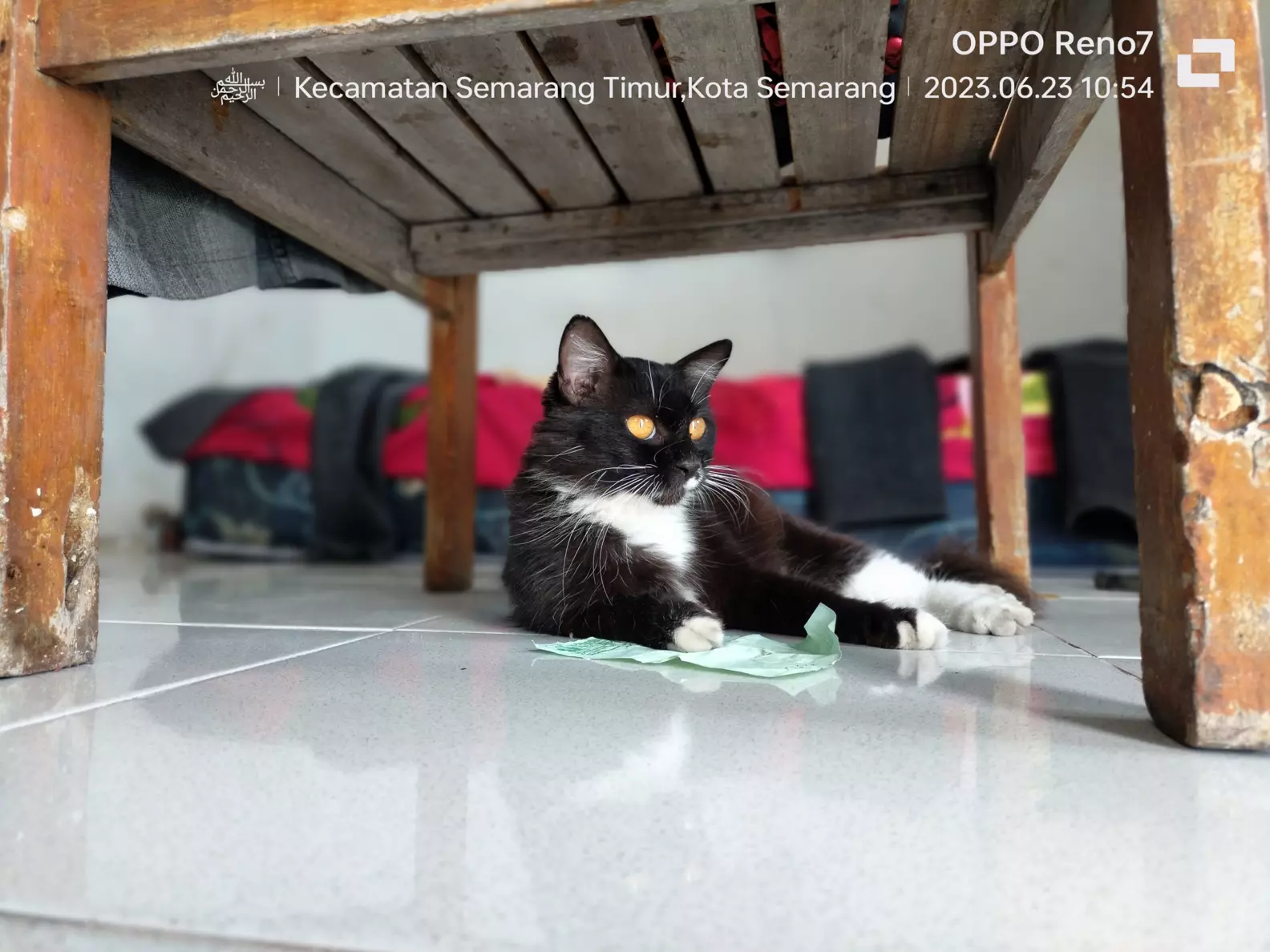 Sedang Menatap Harapan#OPPOreno74g