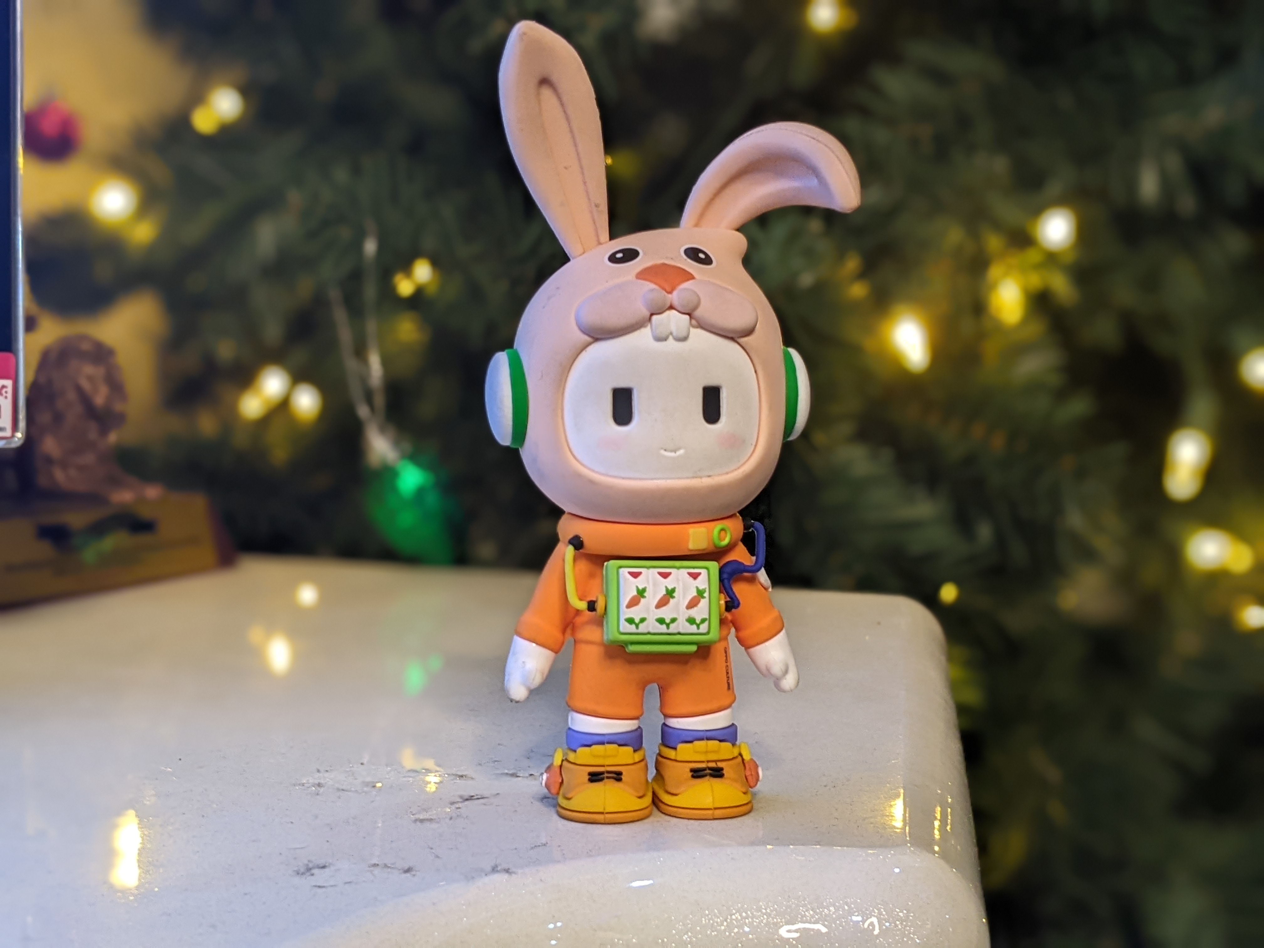 [ WEEK 2 ]I took this photo of Bunny Ollie while I was invit