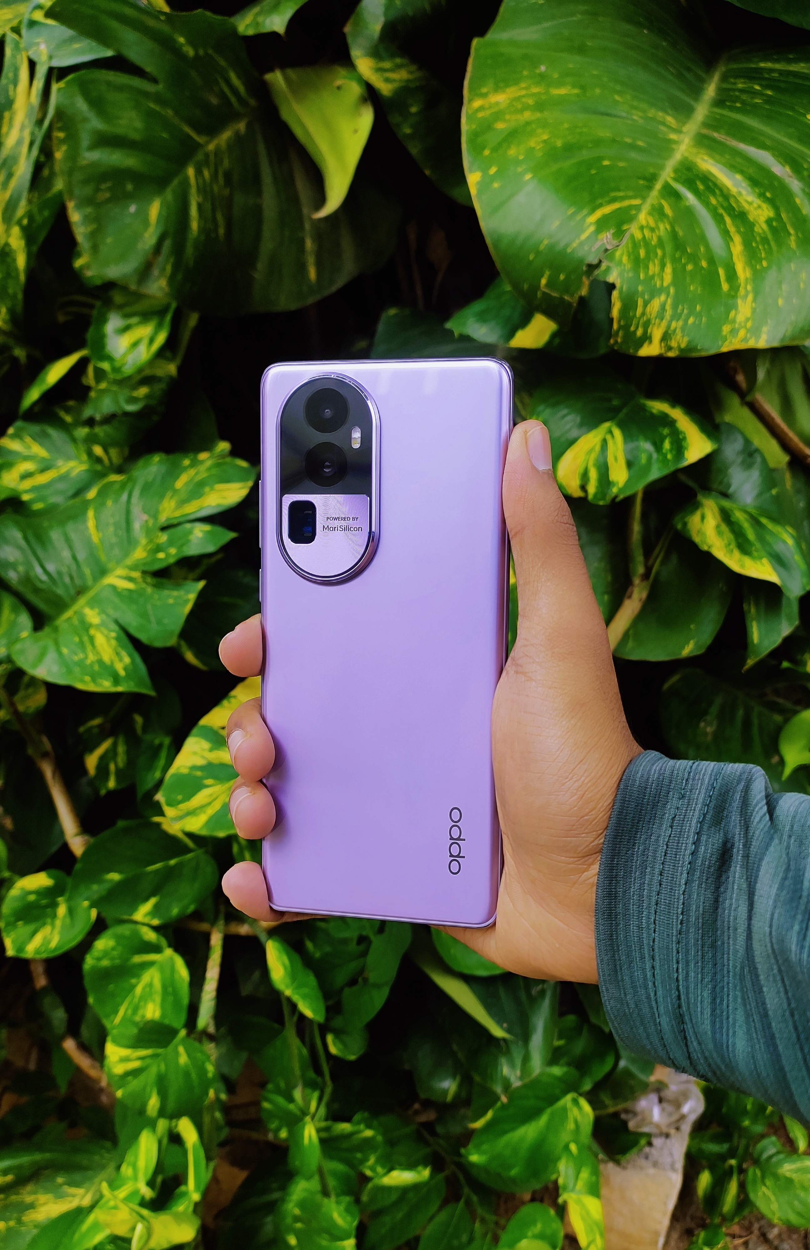 OPPO - 【もんちゃん】Reno10 Pro5G パープル Amazon.co.jp: OPPO Reno10 Pro 5G Glossy Purple CPH2541