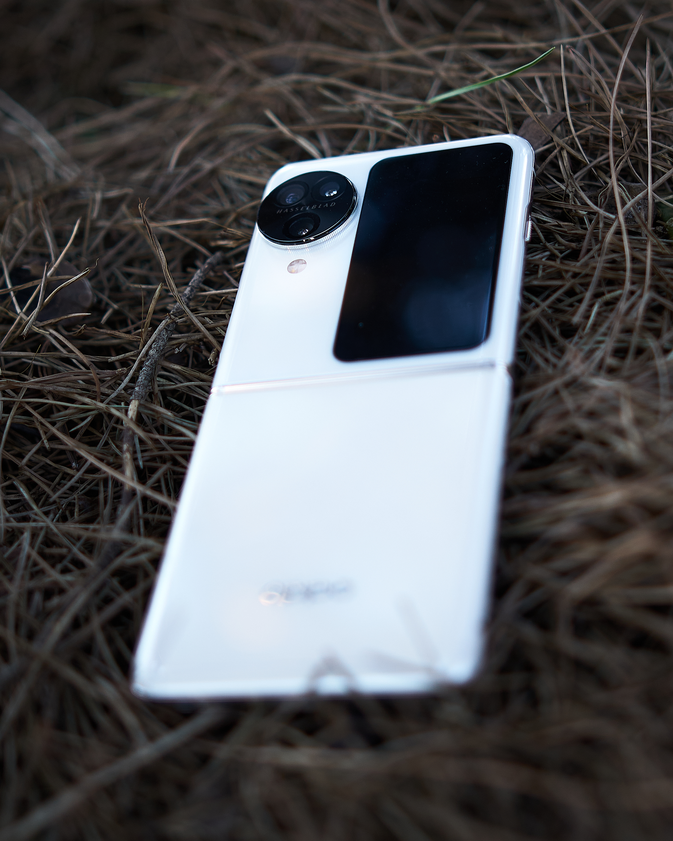 Oppo find n3 flip 白　12+512 OPPO Find N3 Flip - full review