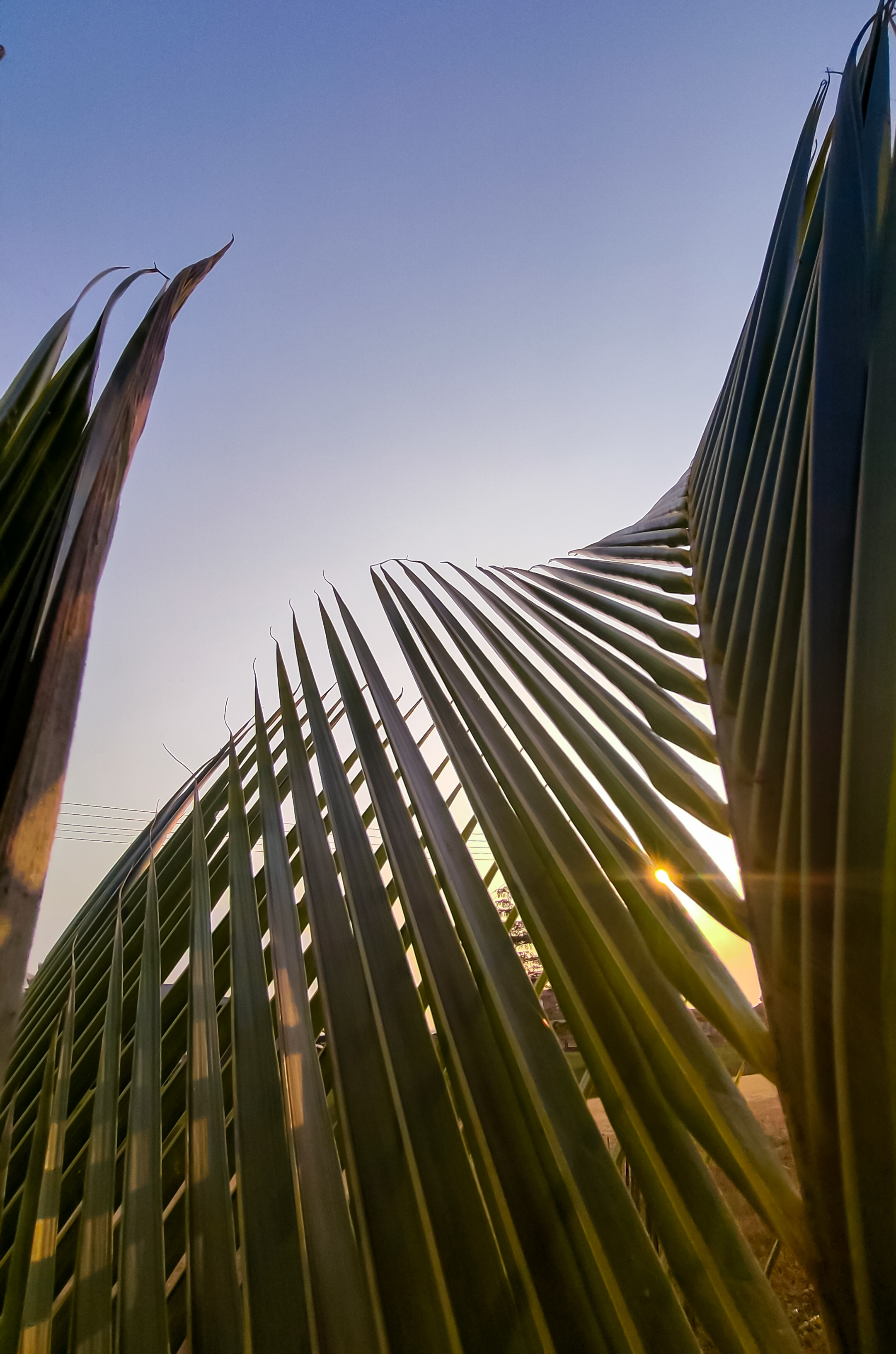 Sunlight Pattern Photography 🌇 Sunset and patterns