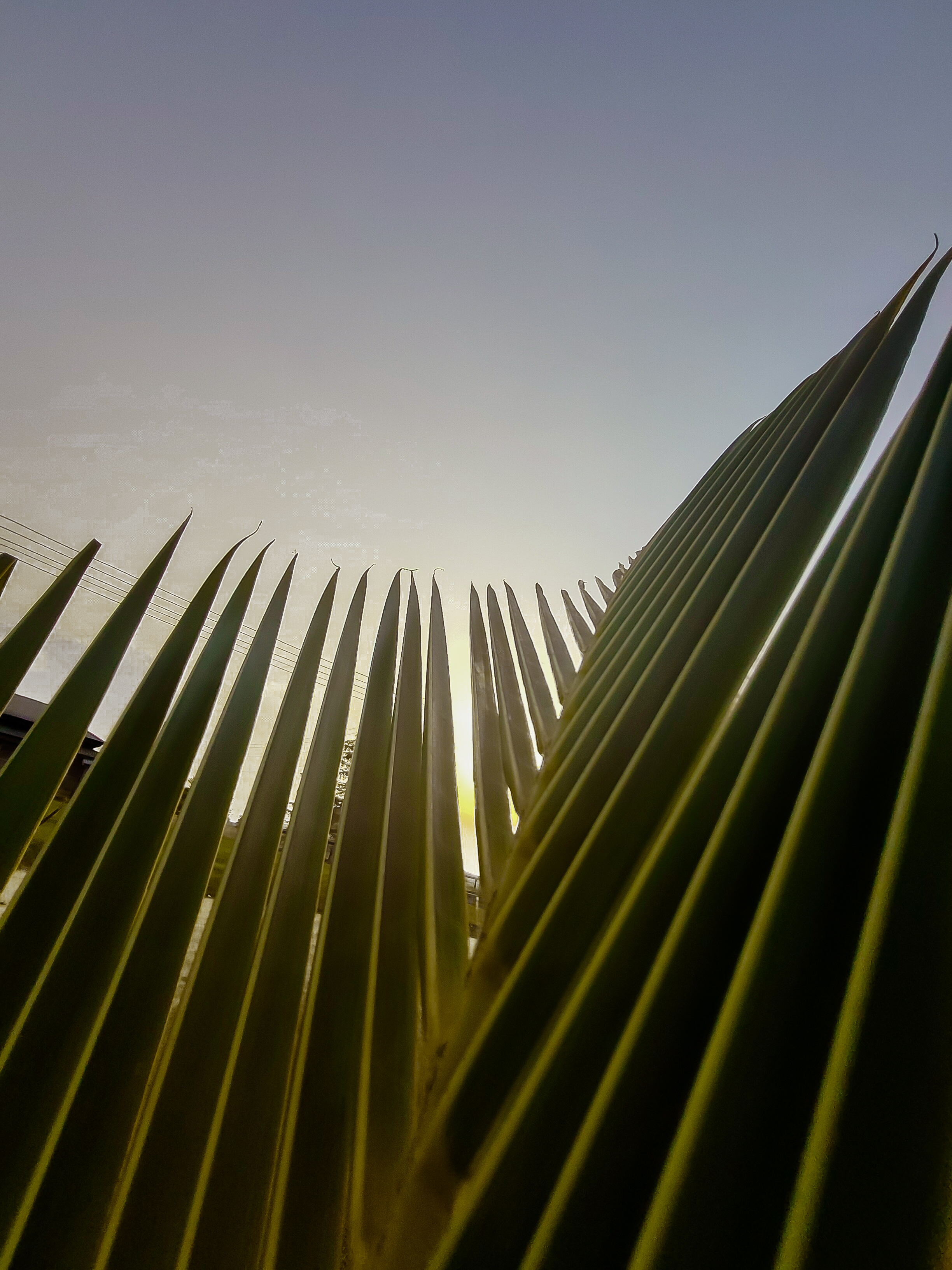 Sunlight Pattern Photography 🌇 Sunset and patterns