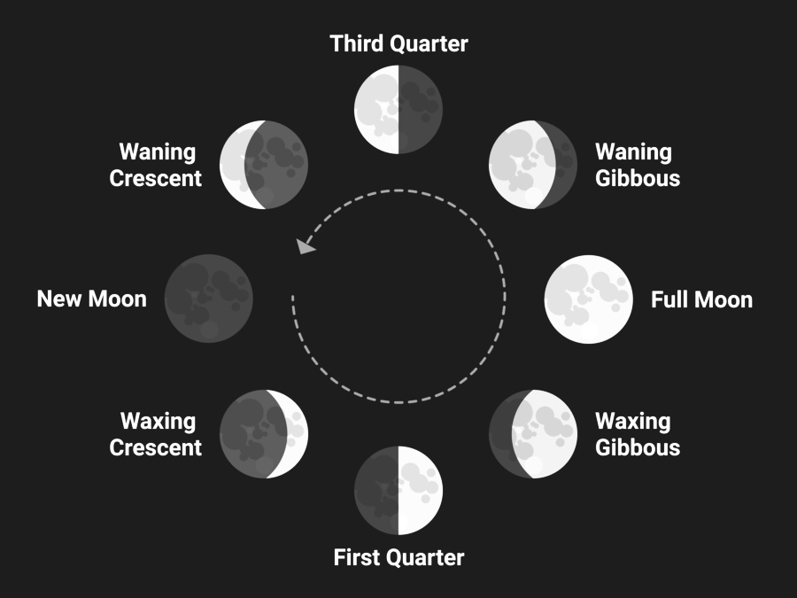 Moon Shots #OPPOReno11Series5G