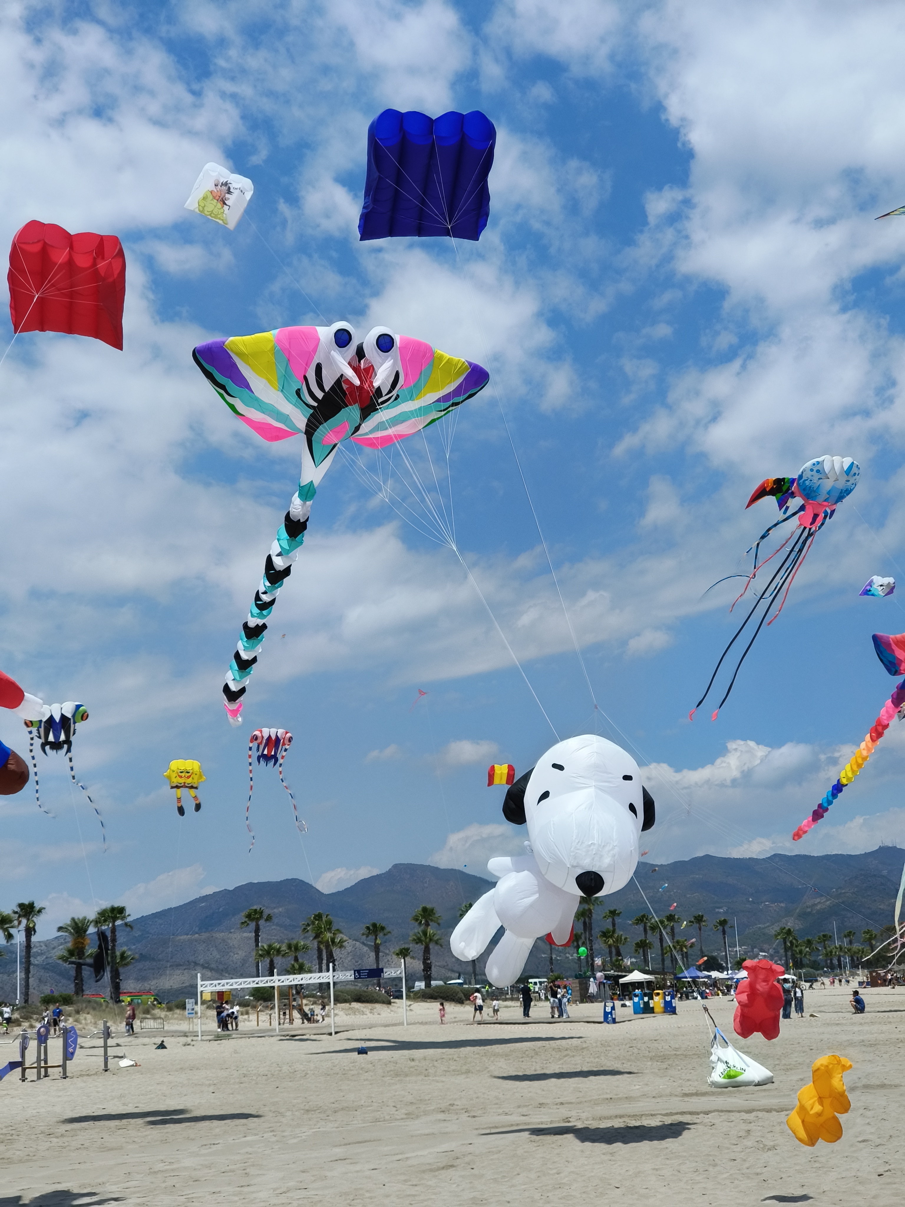 Big Rabbit Kite Giant kites on the beach