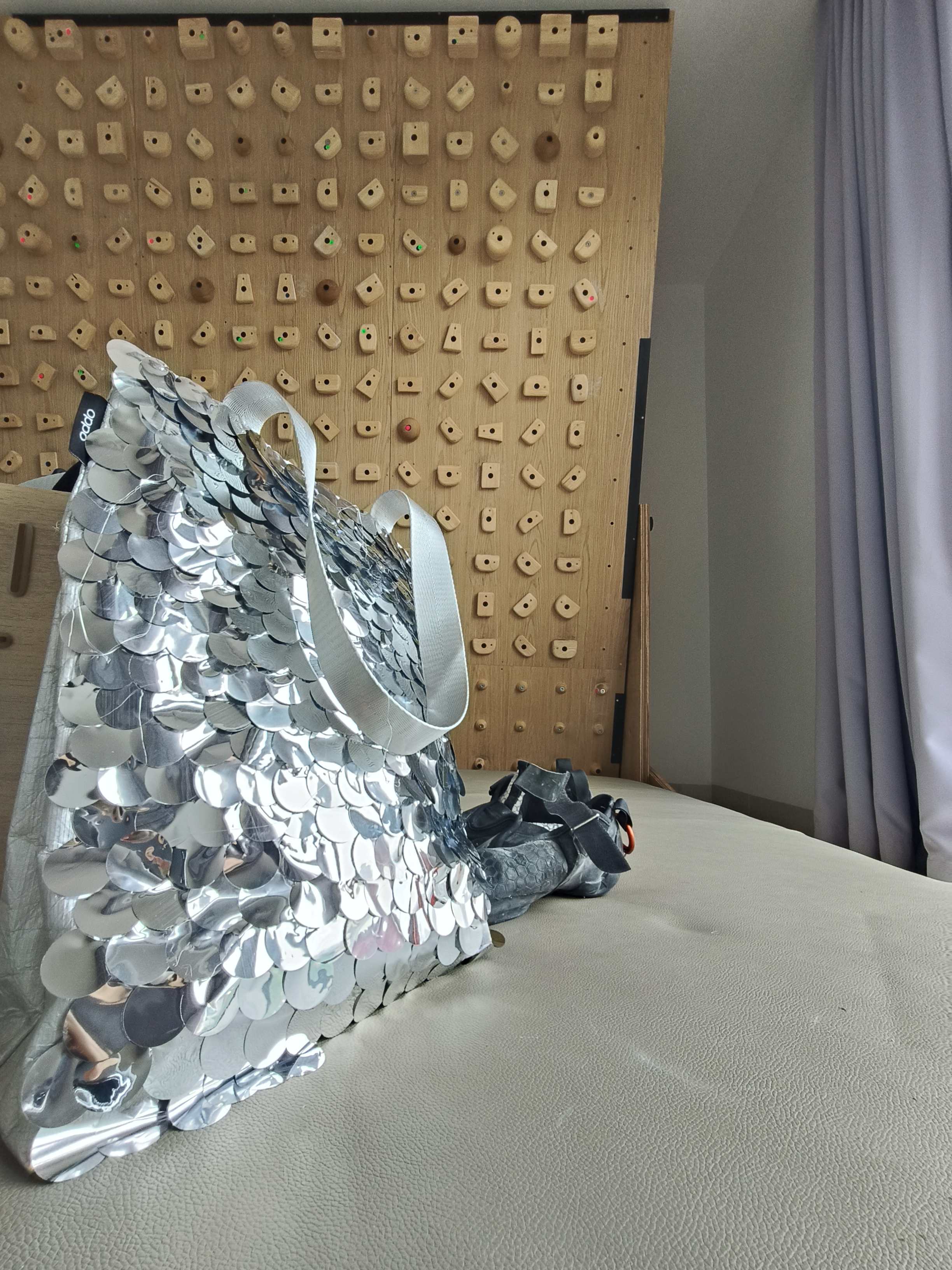 I Just Made Myself A Dragon Bag