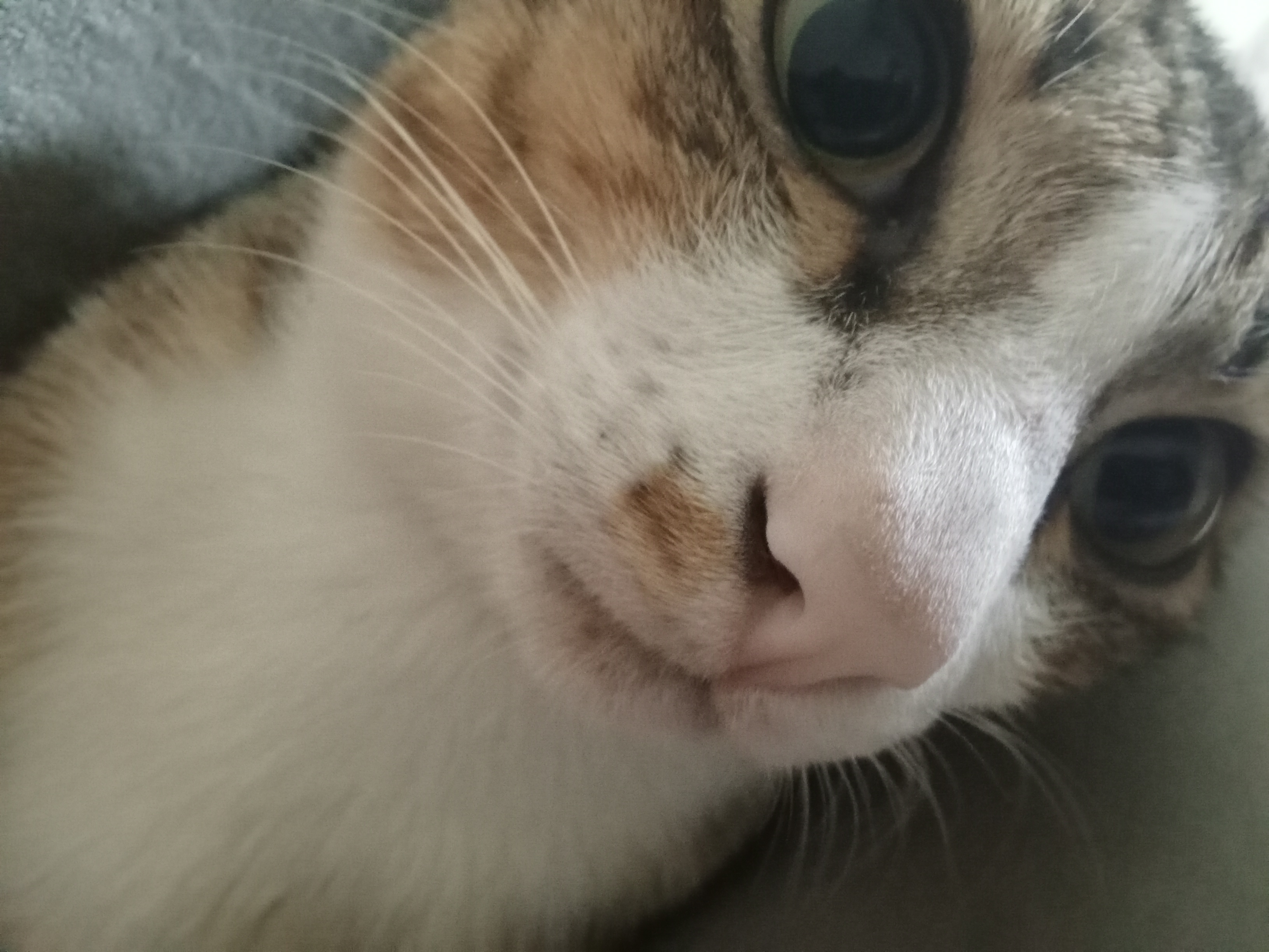 NO ๐