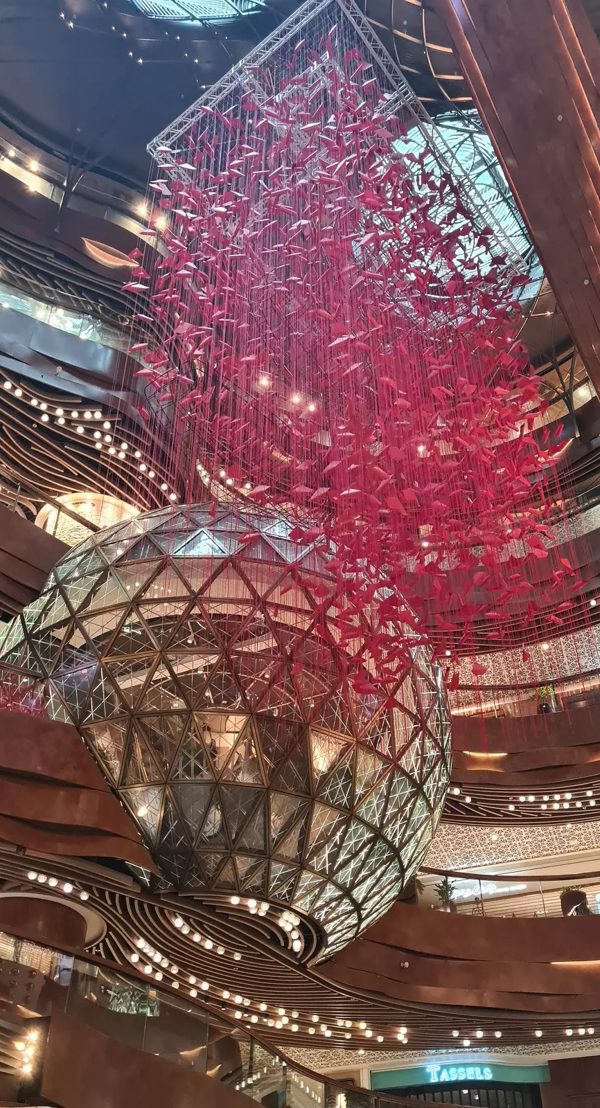Look Up & Down