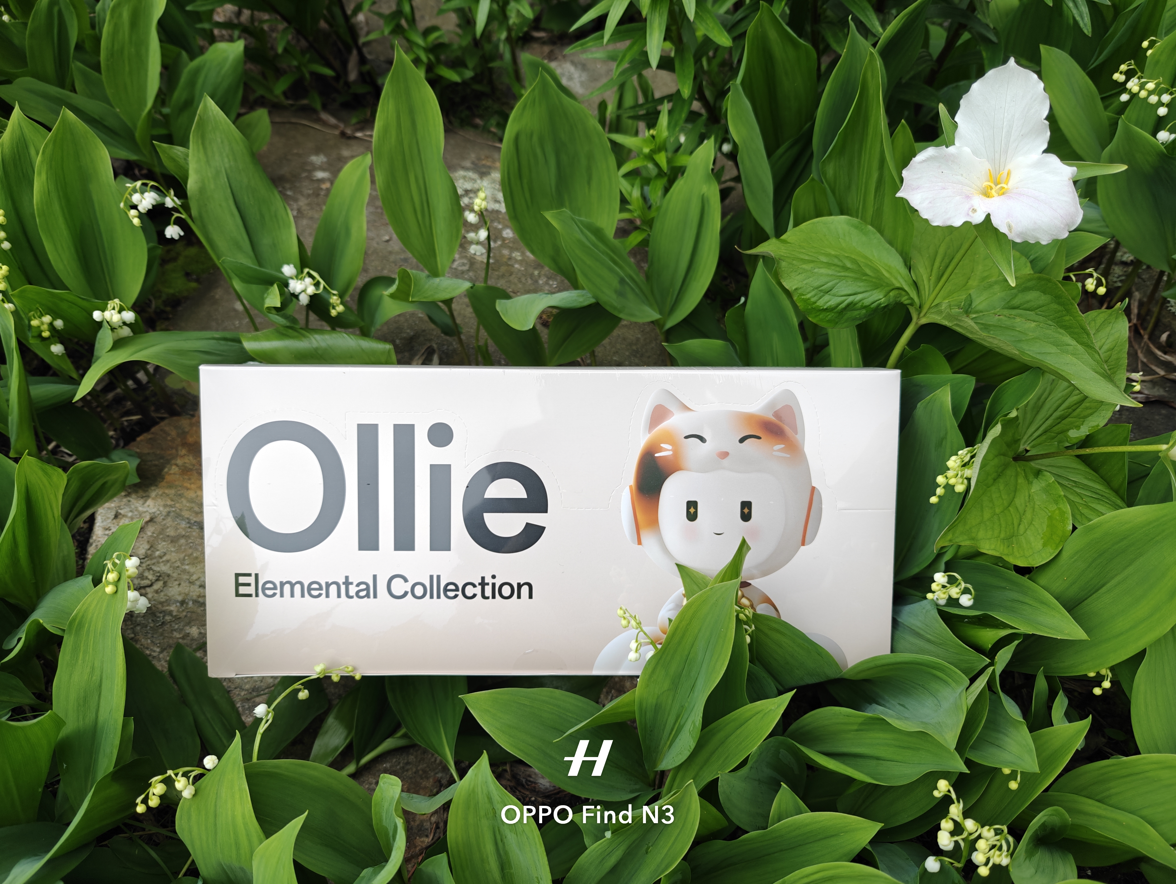 Thank you, 谢谢 for Ollie Elemental Collection!