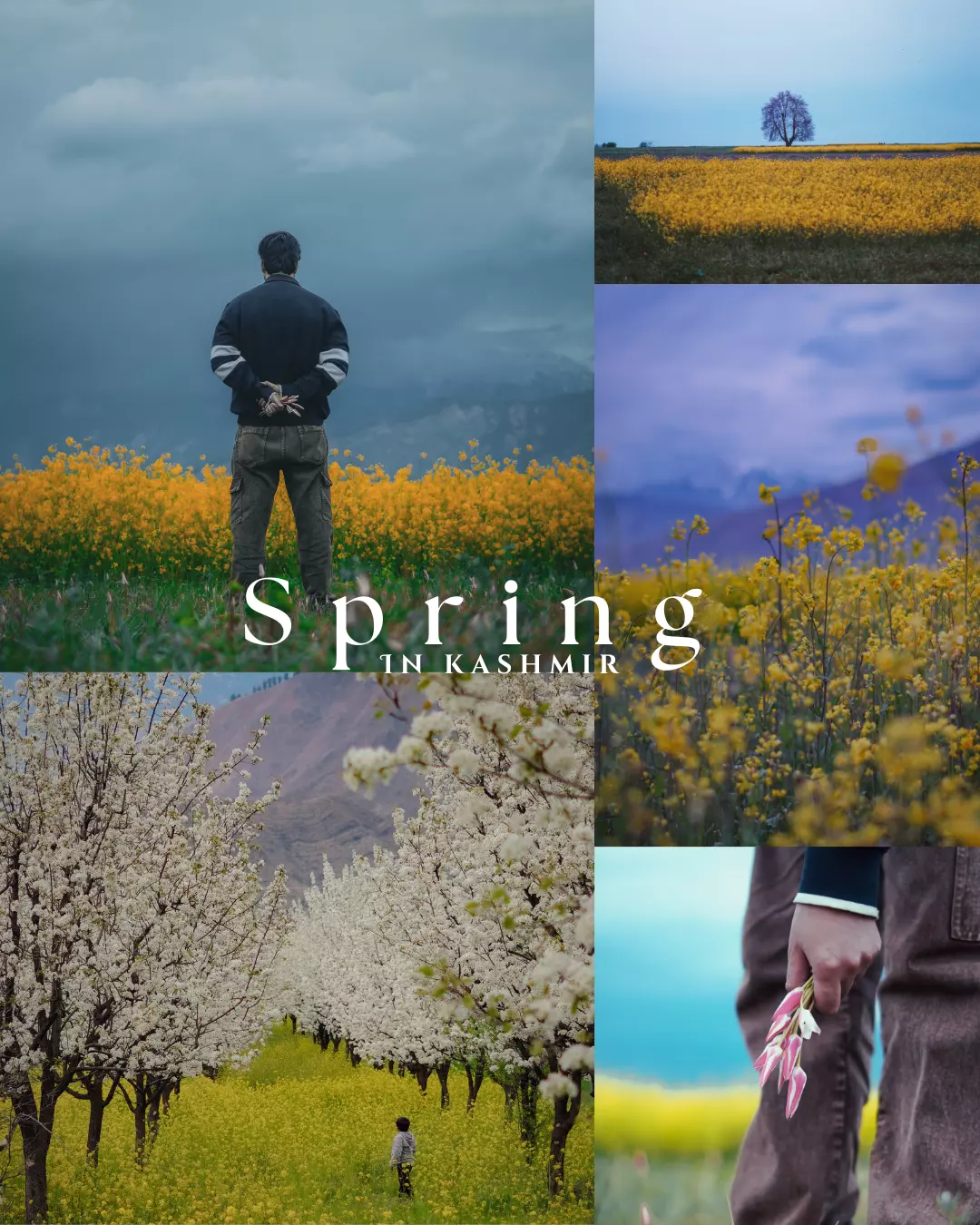 Spring Whispers “Spring whispers, and the soul blooms.”