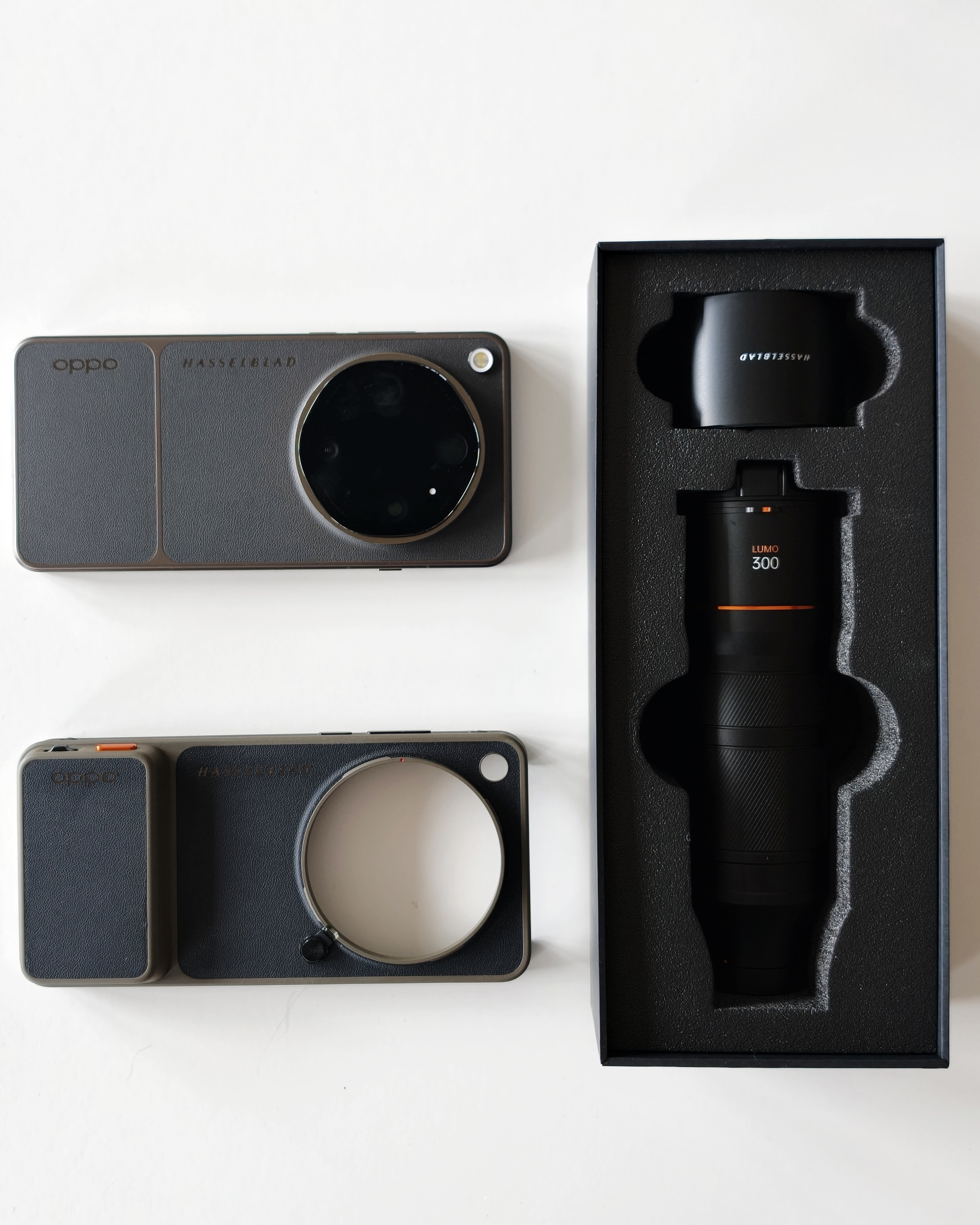 おおなみ Discovering Hidden Details with the 10x Telephoto Lens on the OPPO